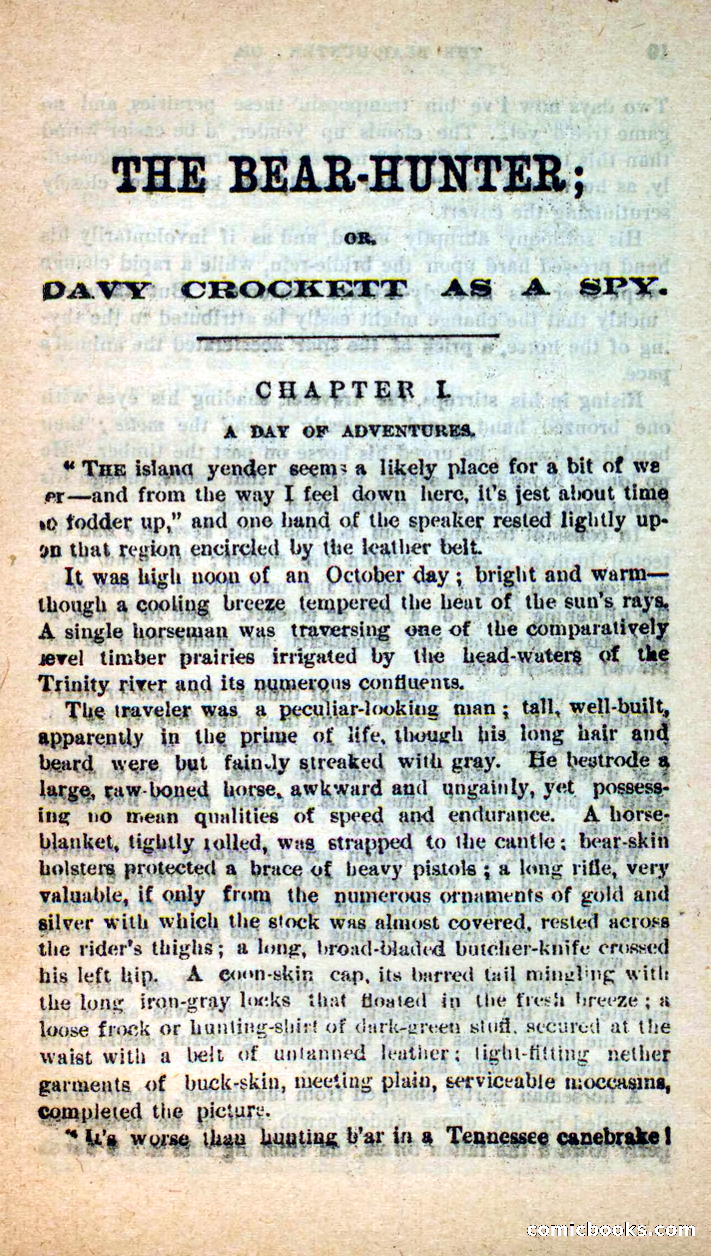 Beadle's Dime Novels: The Bear-Hunter — page 5 of 100