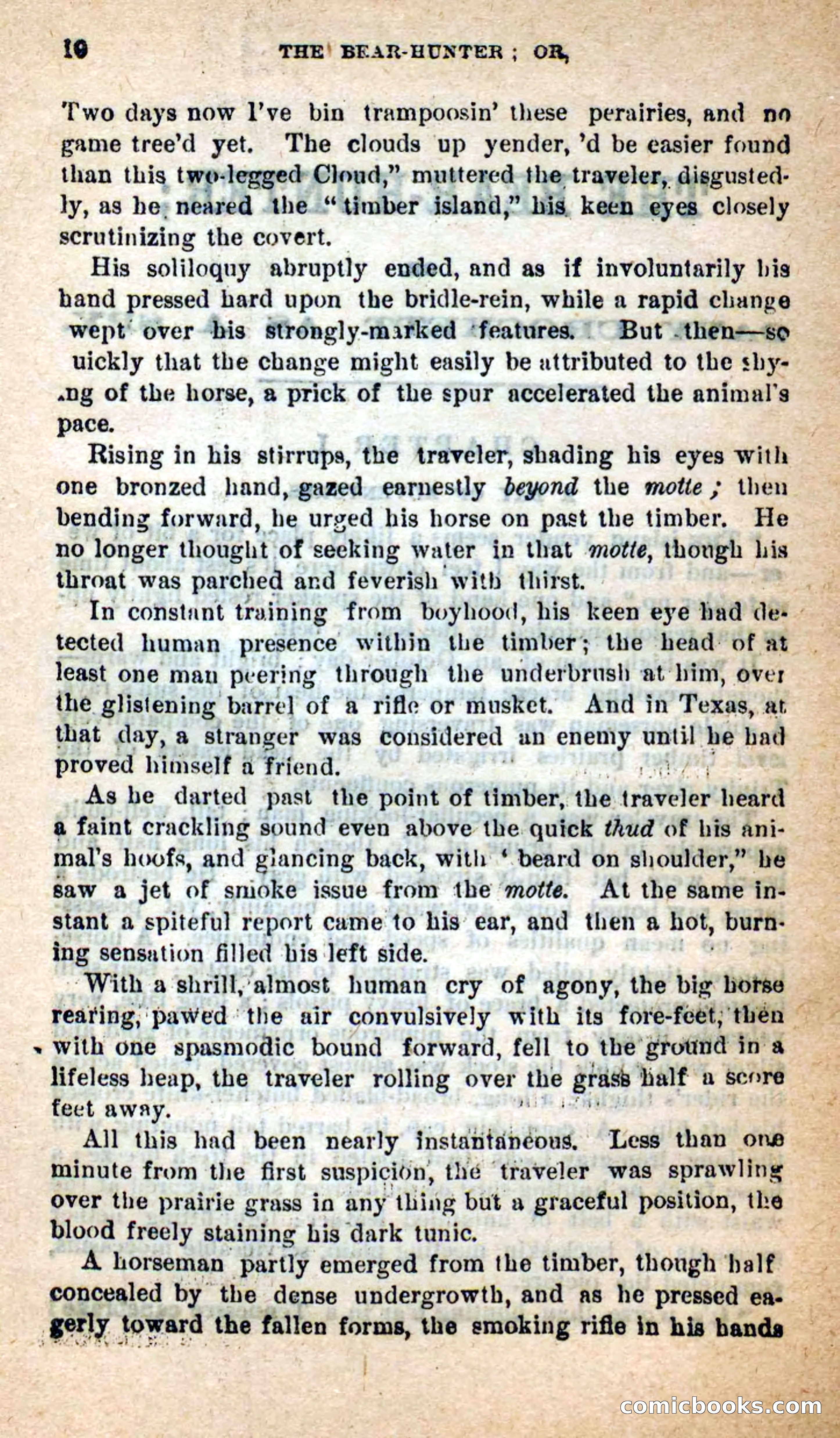 Beadle's Dime Novels: The Bear-Hunter — page 6 of 100