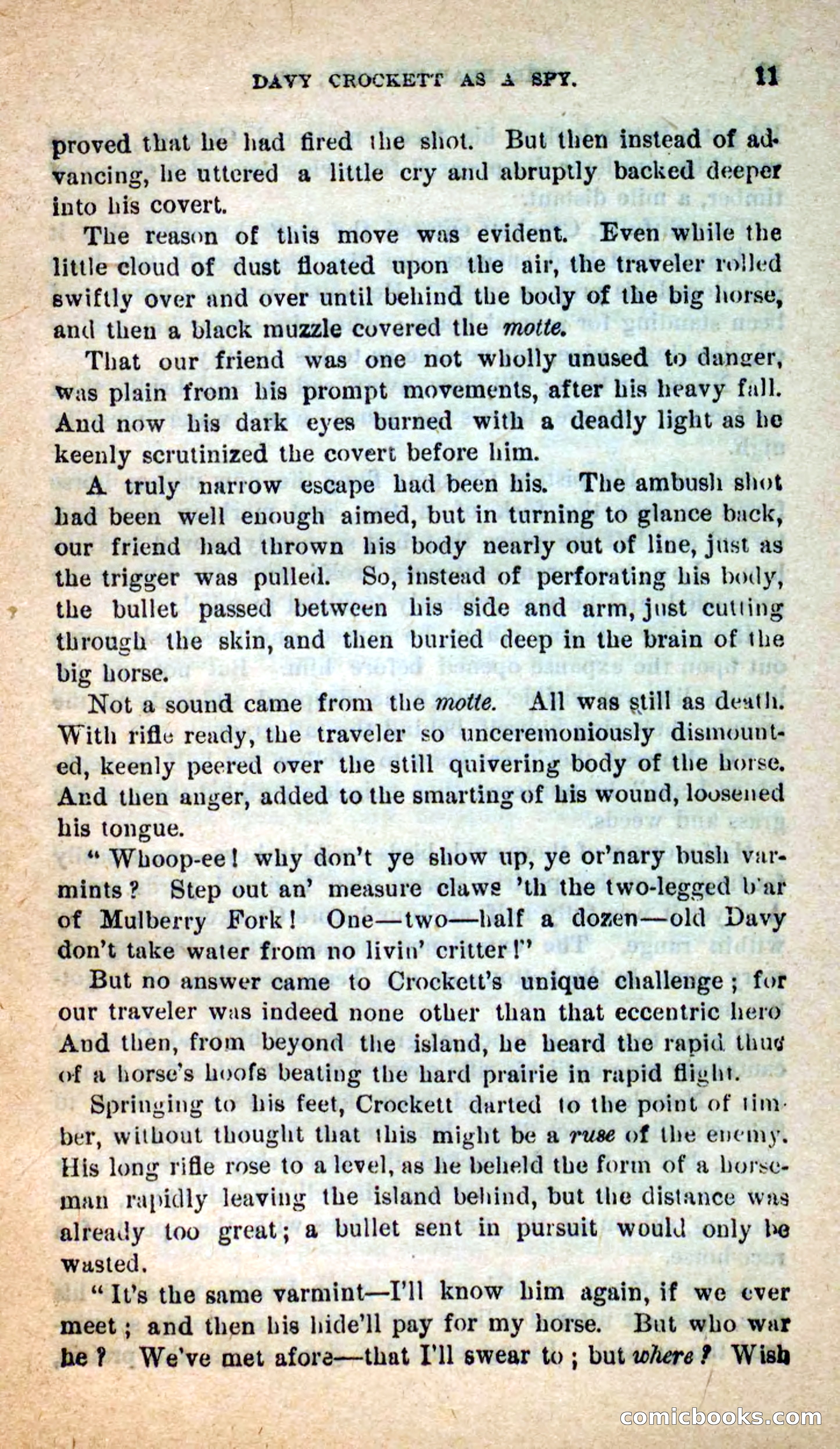 Beadle's Dime Novels: The Bear-Hunter — page 7 of 100