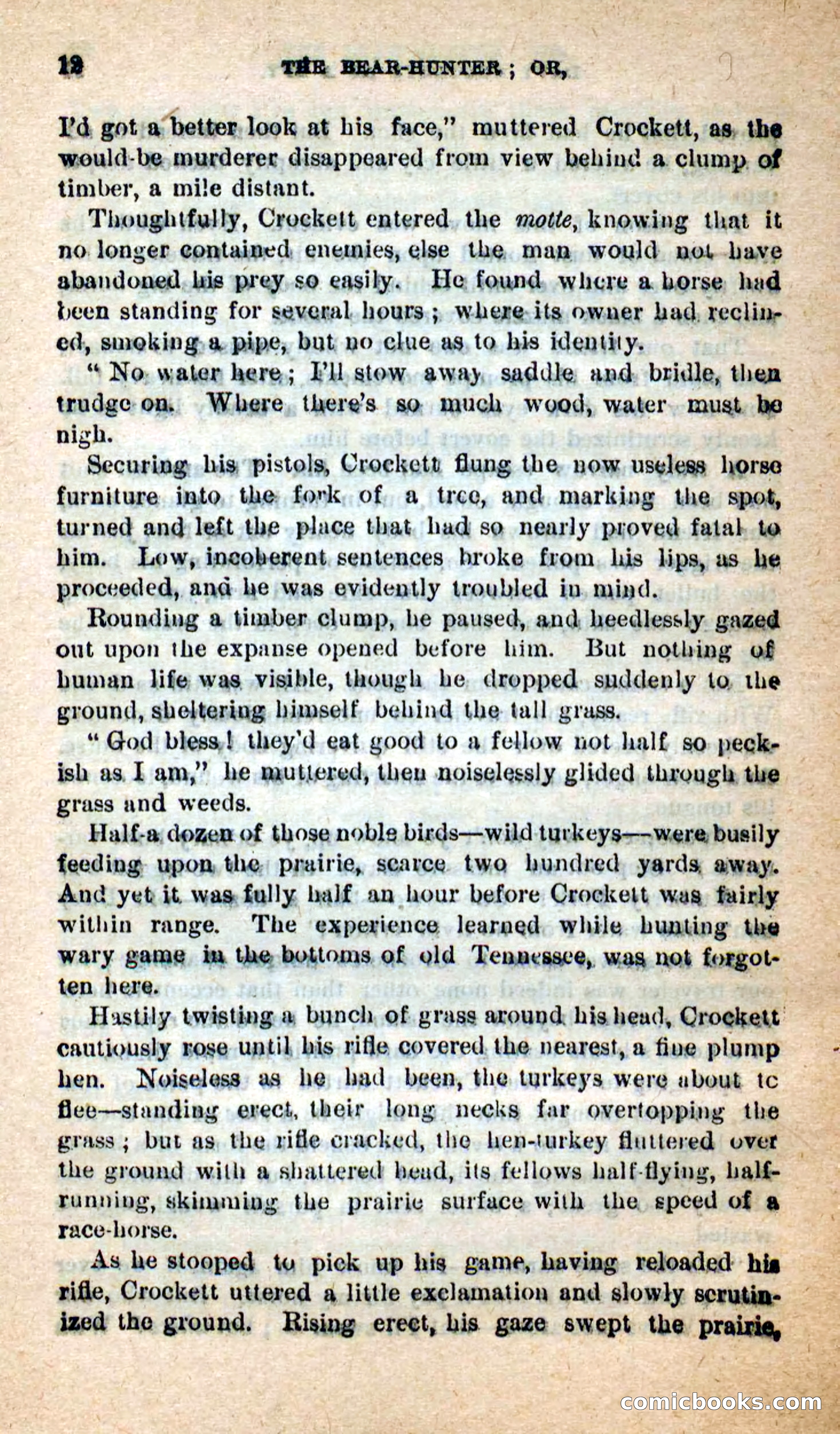 Beadle's Dime Novels: The Bear-Hunter — page 8 of 100