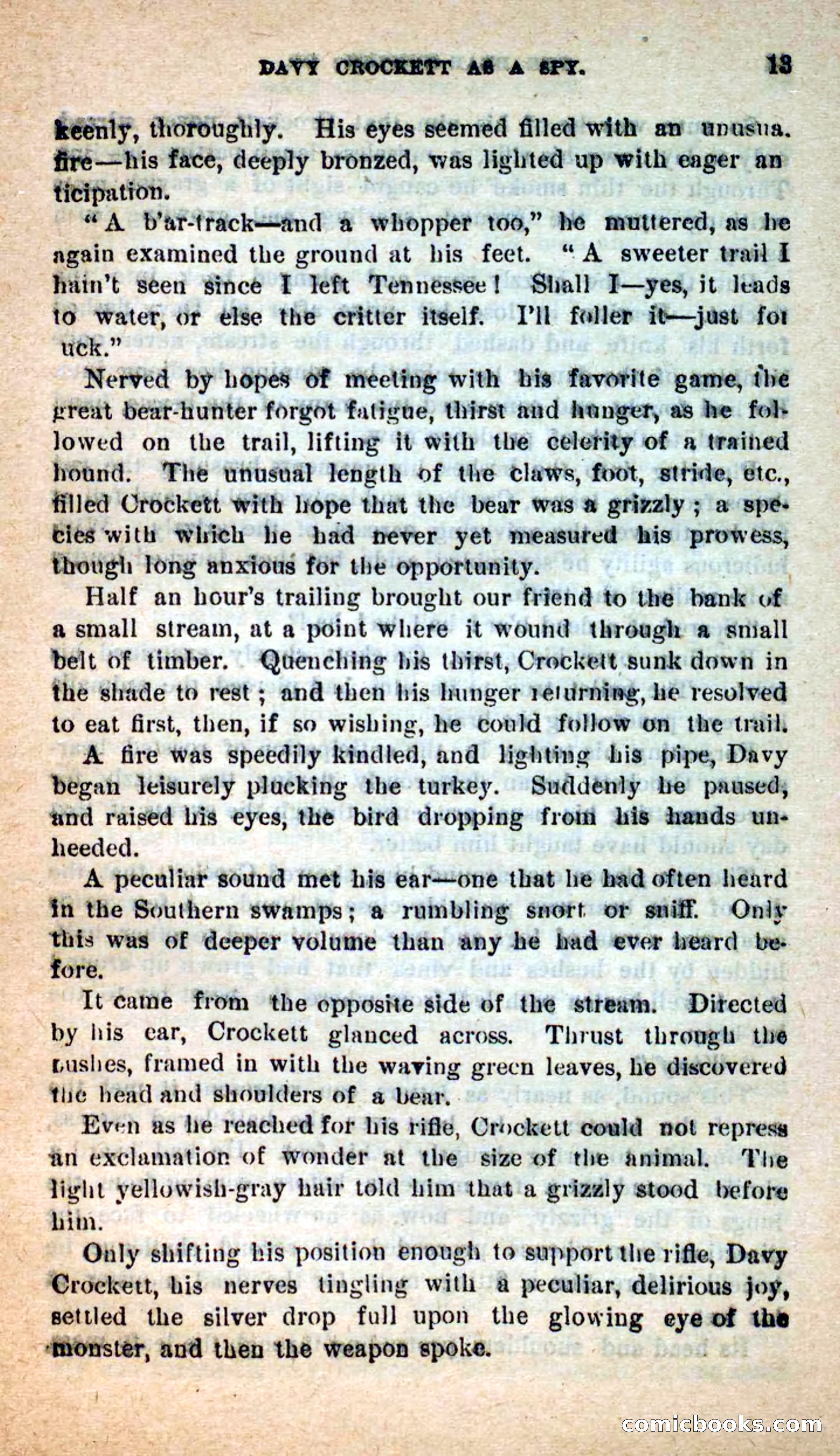 Beadle's Dime Novels: The Bear-Hunter — page 9 of 100