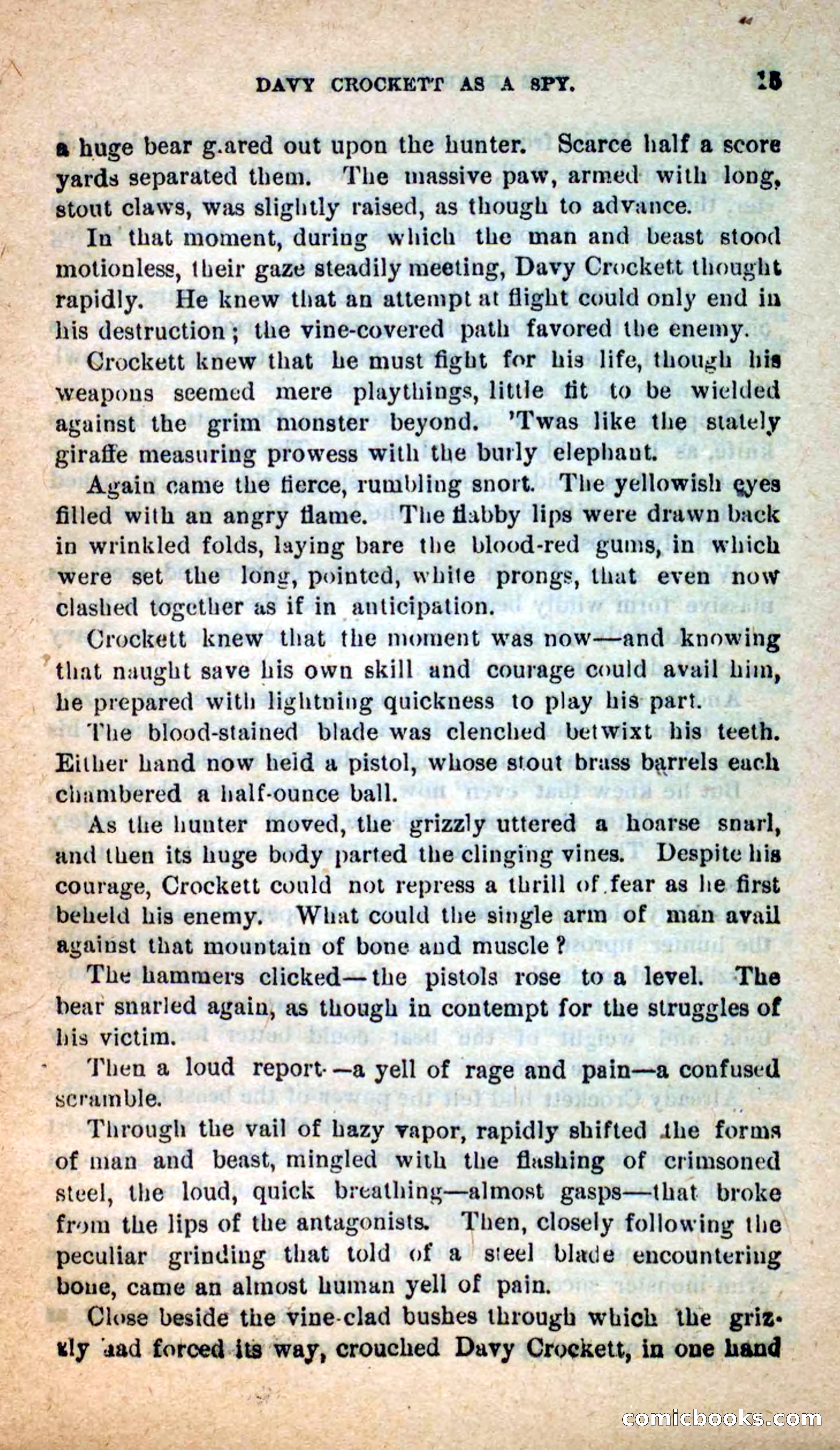 Beadle's Dime Novels: The Bear-Hunter — page 11 of 100