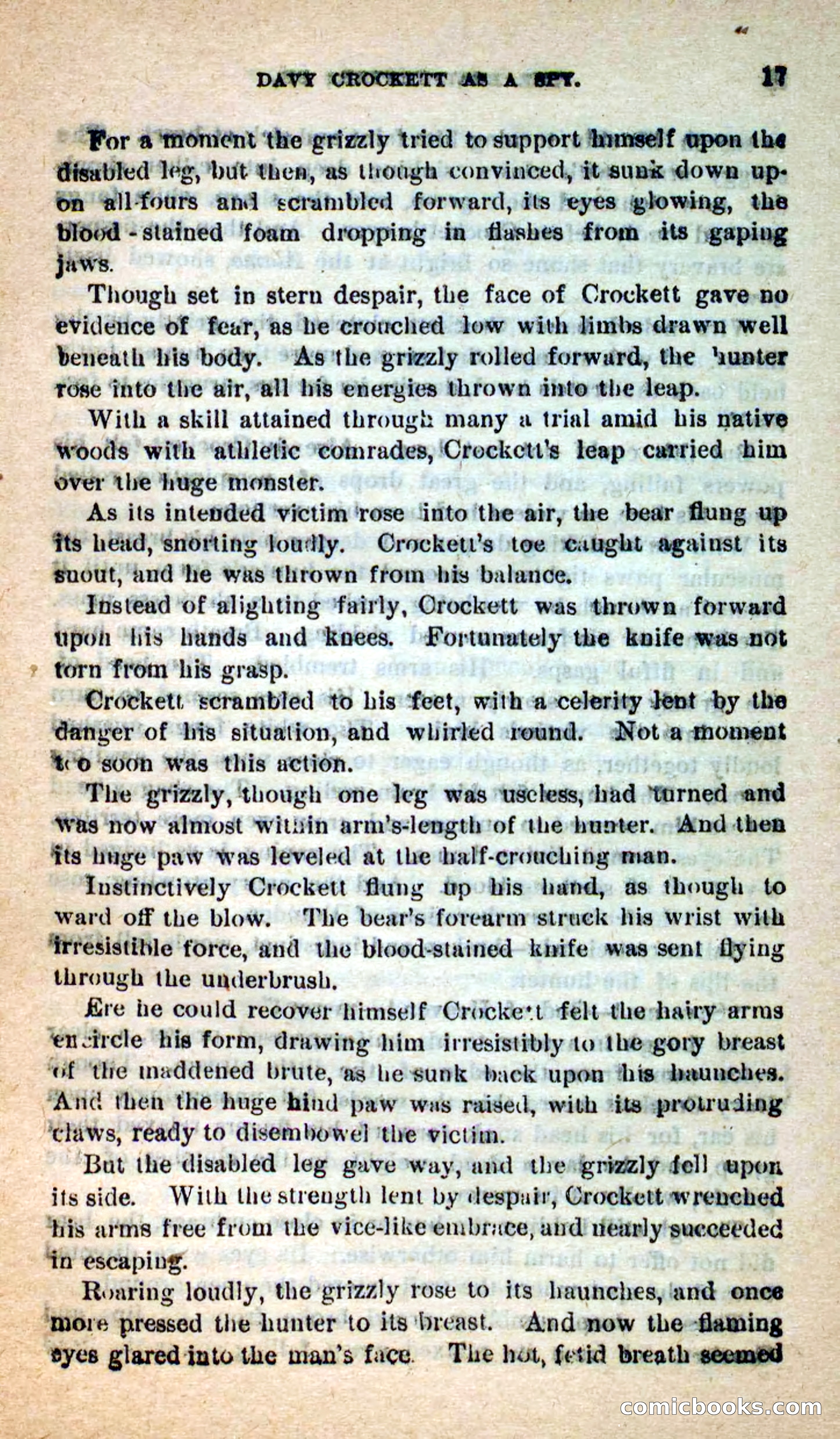 Beadle's Dime Novels: The Bear-Hunter — page 13 of 100