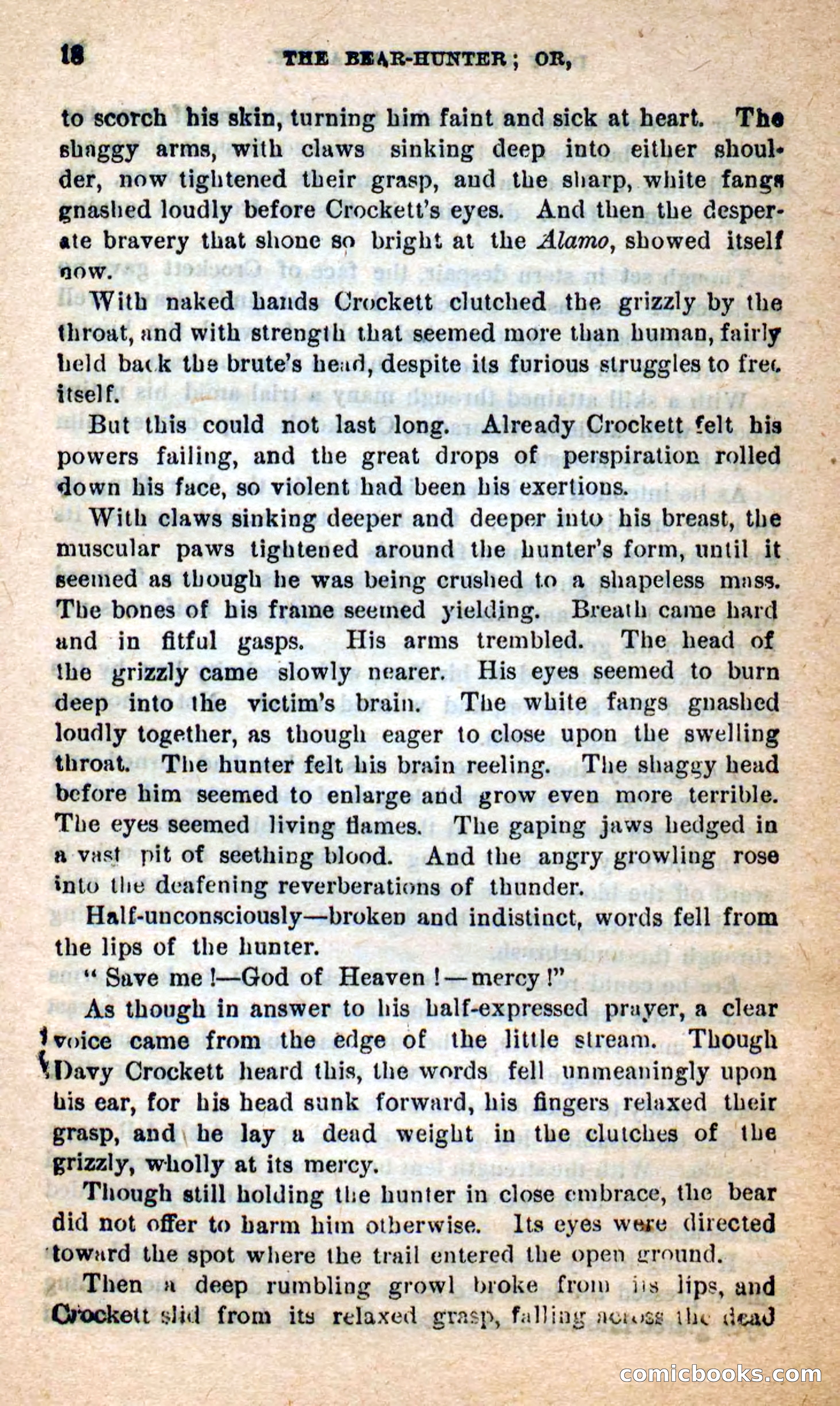 Beadle's Dime Novels: The Bear-Hunter — page 14 of 100