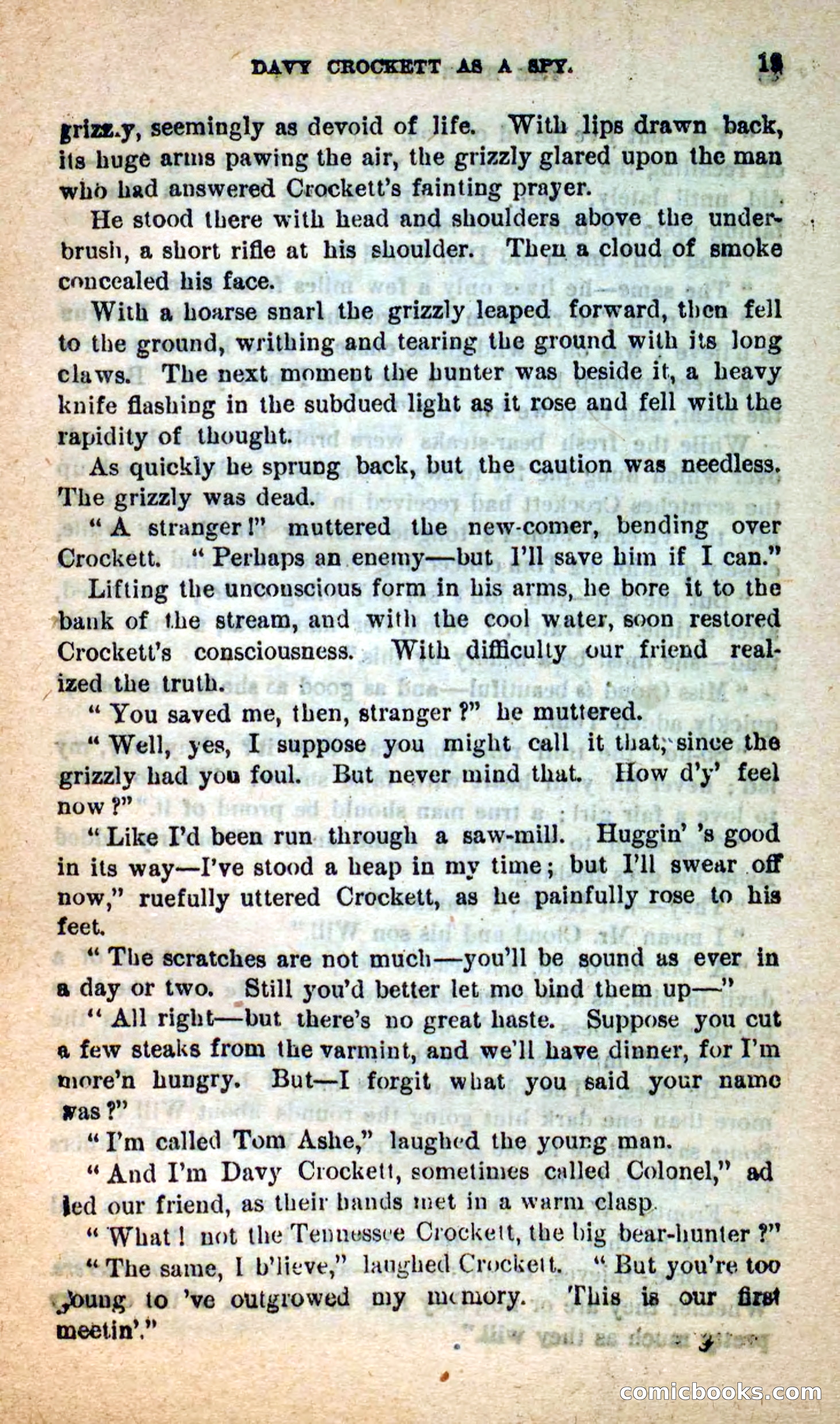 Beadle's Dime Novels: The Bear-Hunter — page 15 of 100