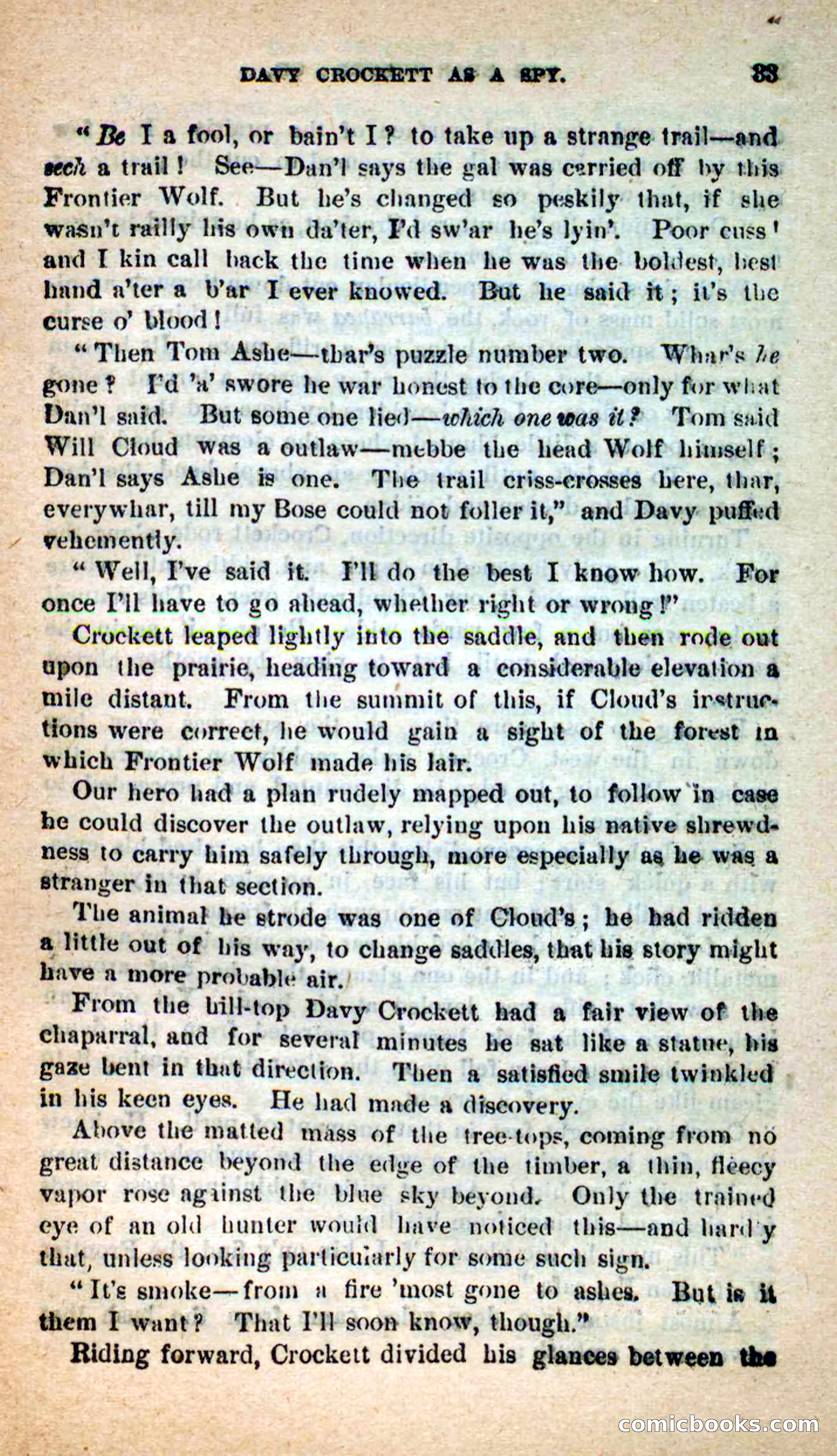 Beadle's Dime Novels: The Bear-Hunter — page 29 of 100