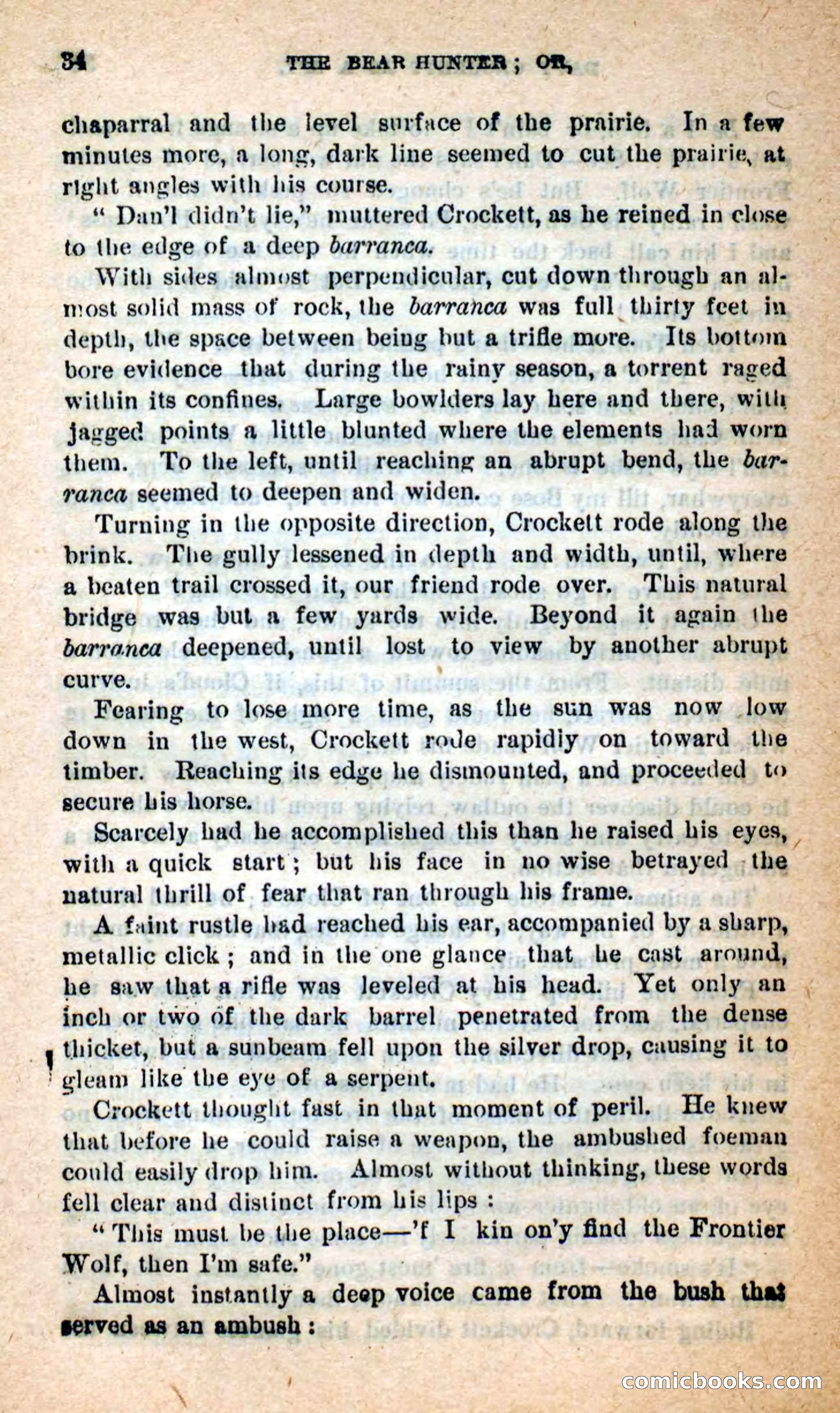Beadle's Dime Novels: The Bear-Hunter — page 30 of 100