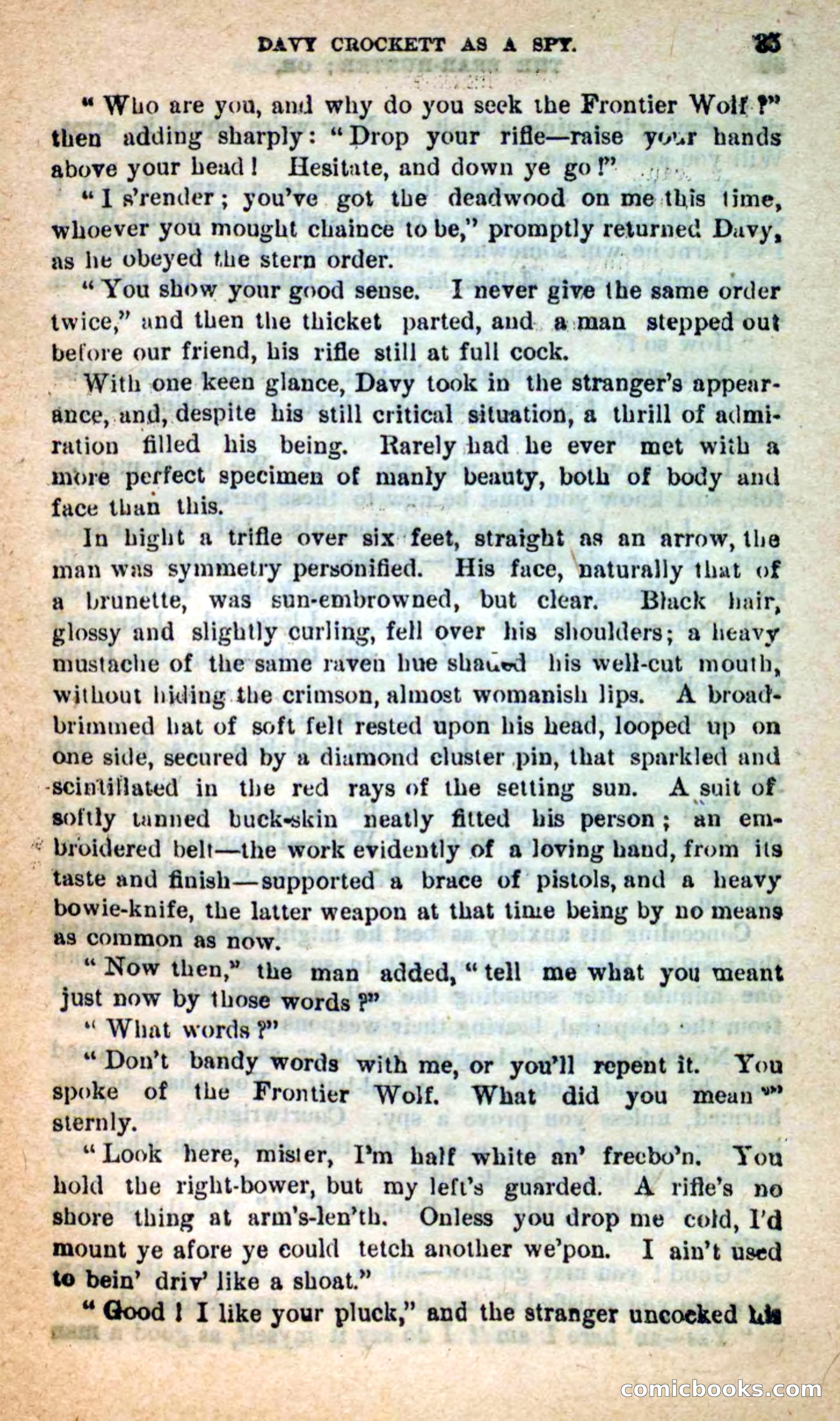 Beadle's Dime Novels: The Bear-Hunter — page 31 of 100