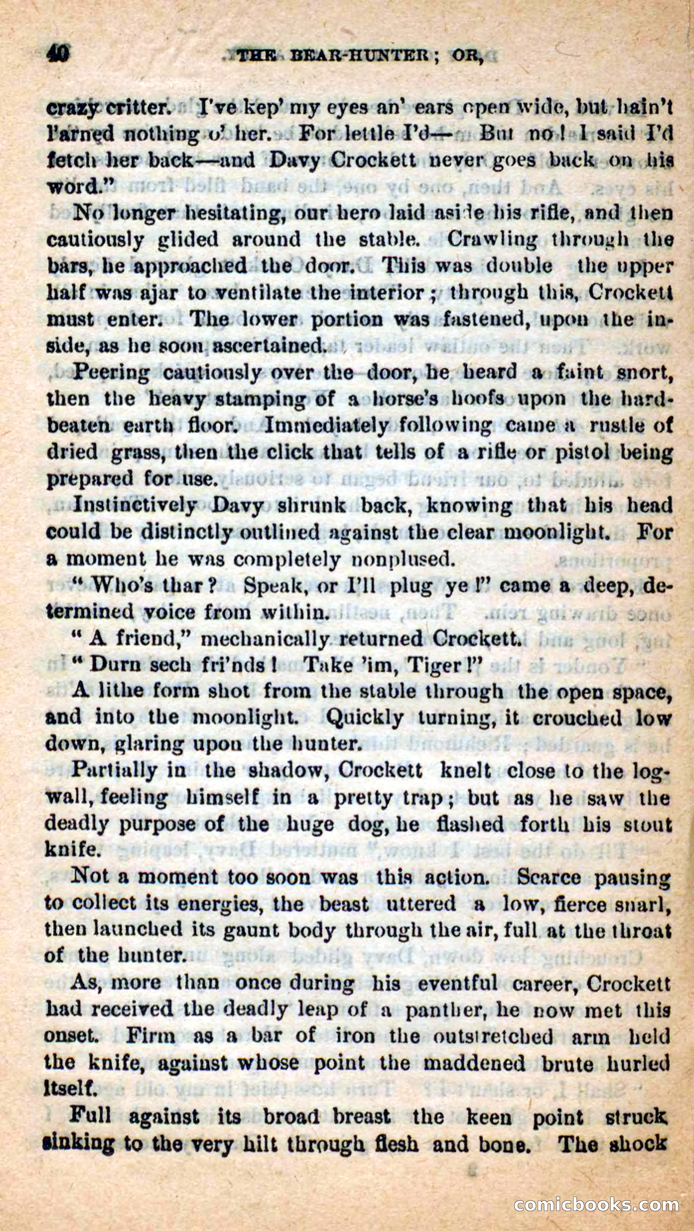 Beadle's Dime Novels: The Bear-Hunter — page 36 of 100
