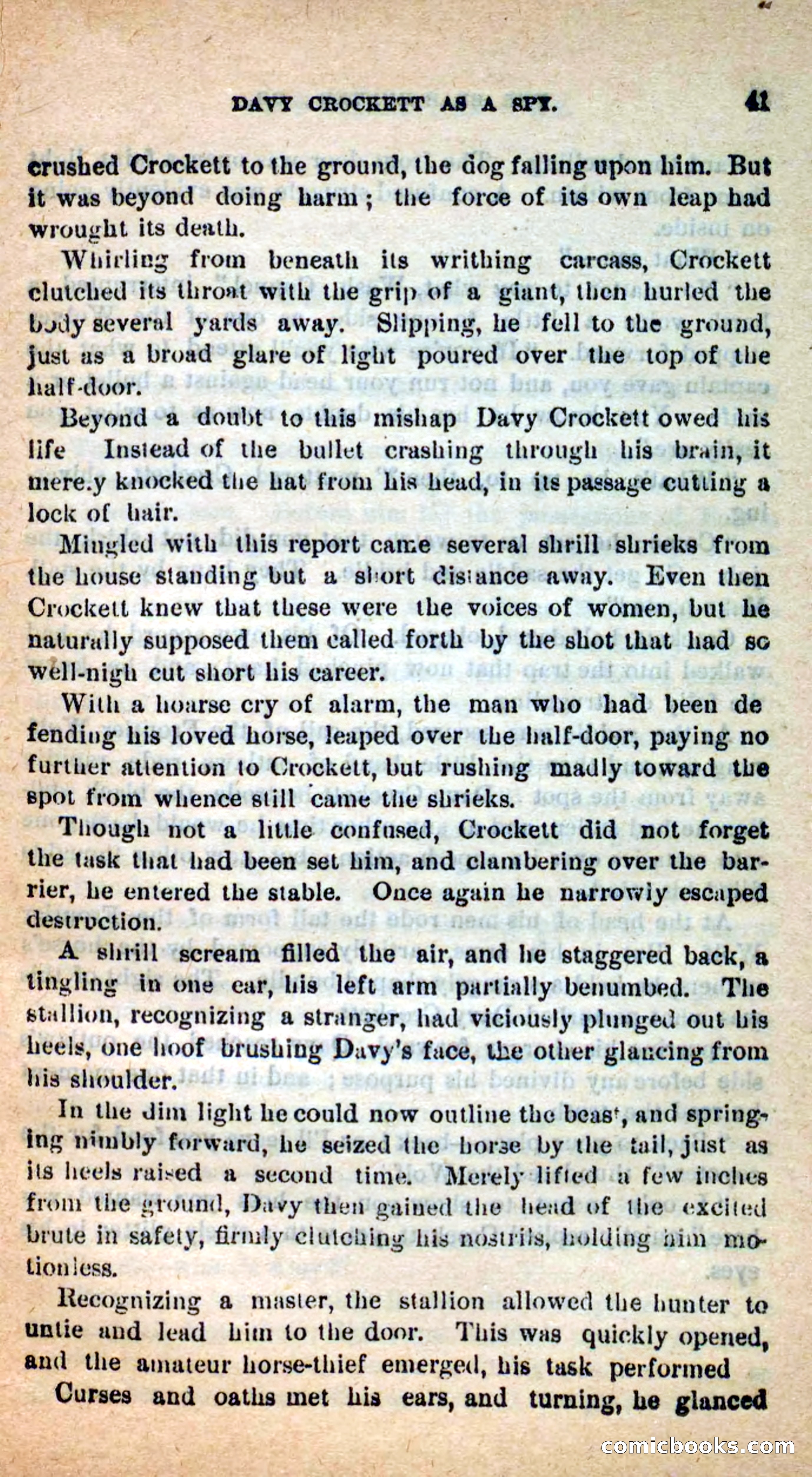 Beadle's Dime Novels: The Bear-Hunter — page 37 of 100