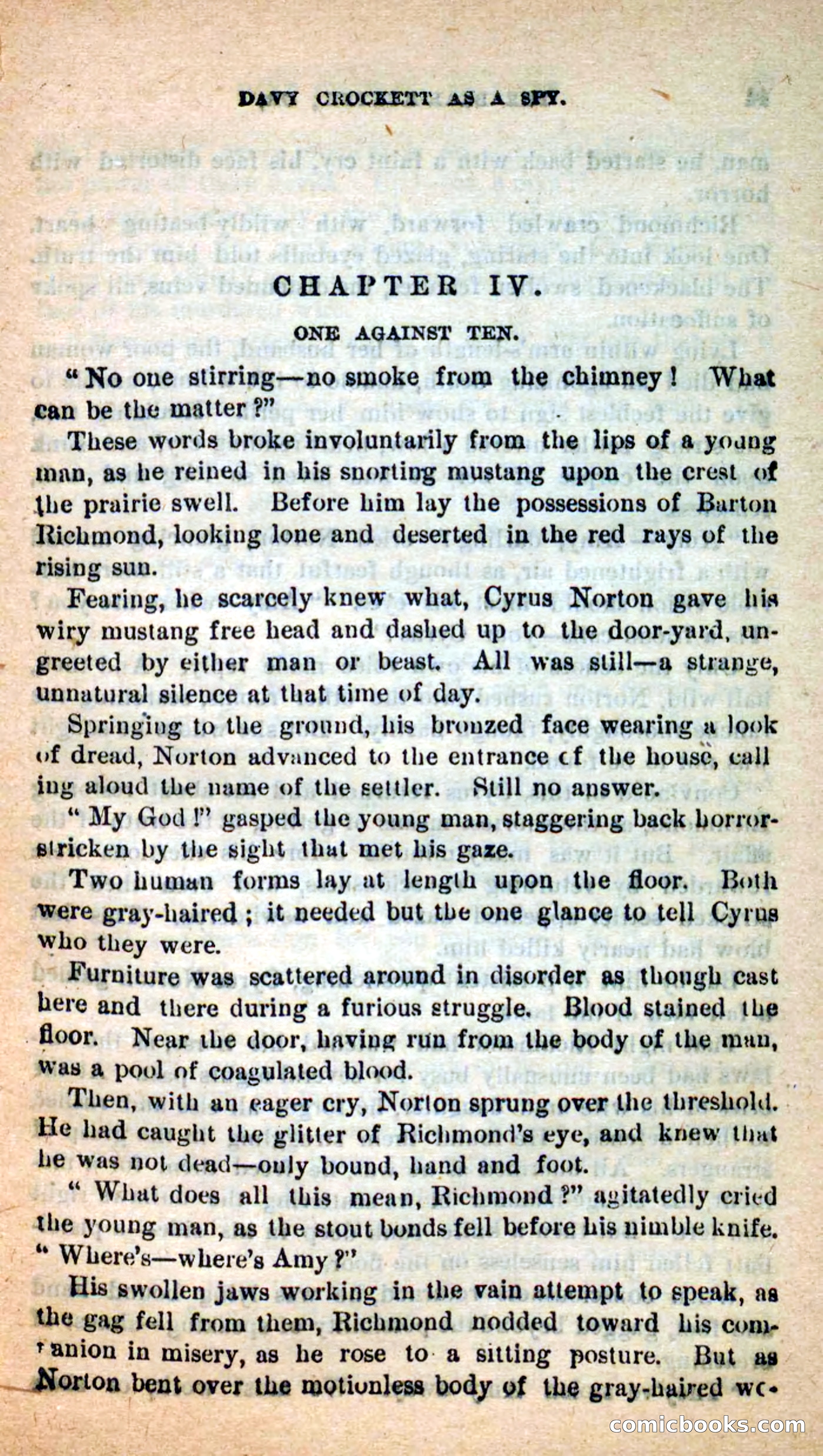 Beadle's Dime Novels: The Bear-Hunter — page 39 of 100