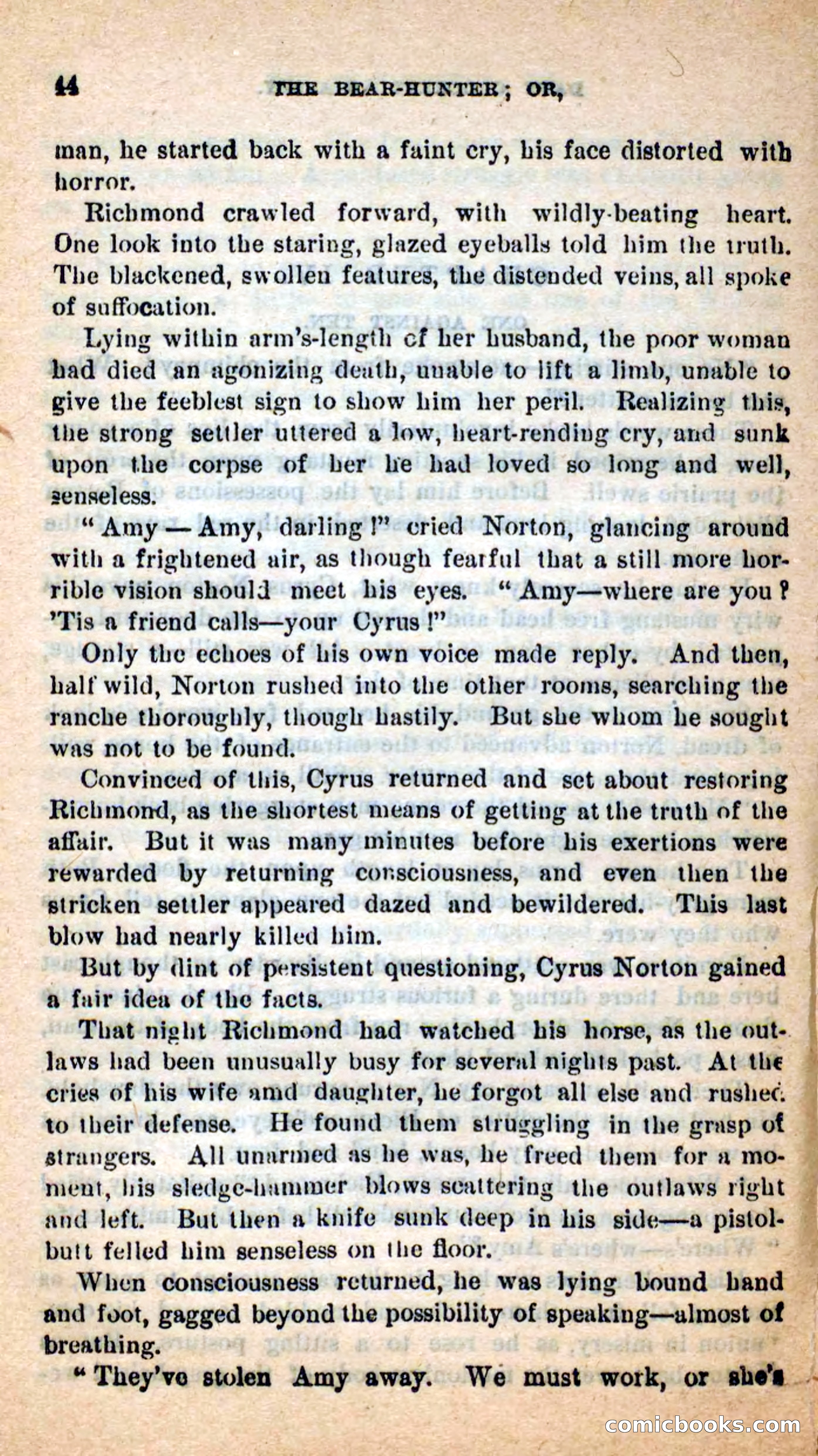 Beadle's Dime Novels: The Bear-Hunter — page 40 of 100