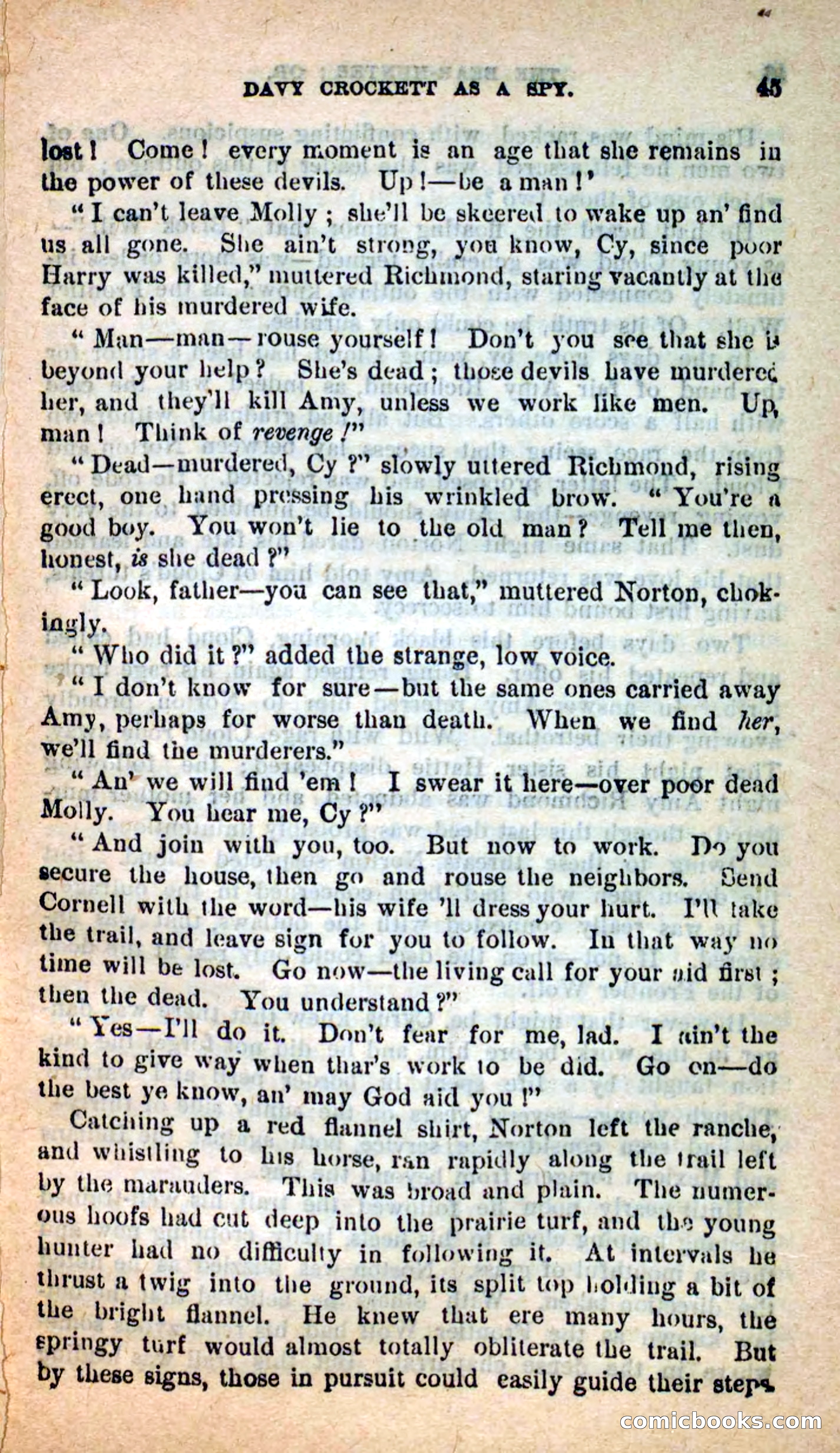 Beadle's Dime Novels: The Bear-Hunter — page 41 of 100
