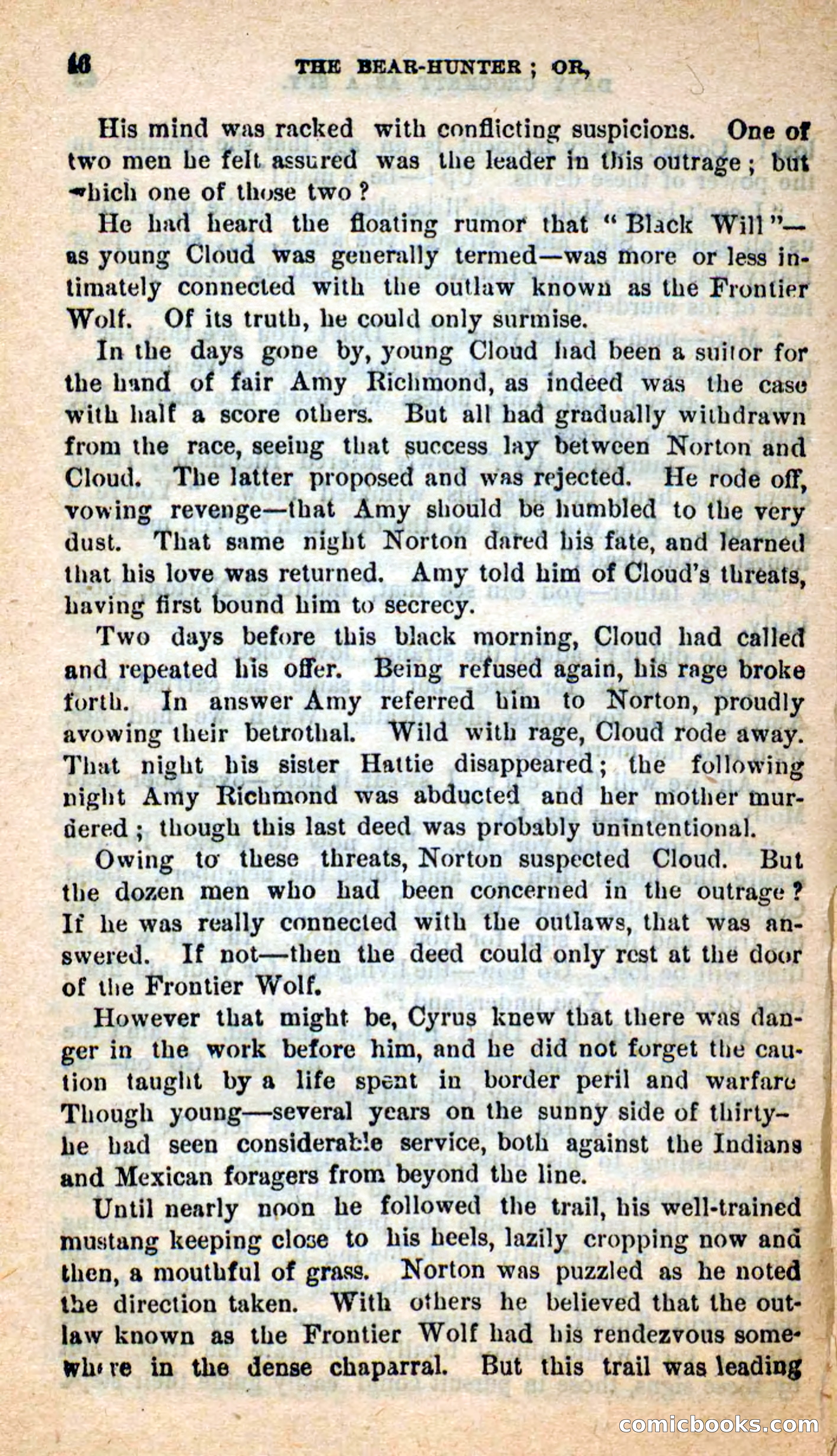 Beadle's Dime Novels: The Bear-Hunter — page 42 of 100