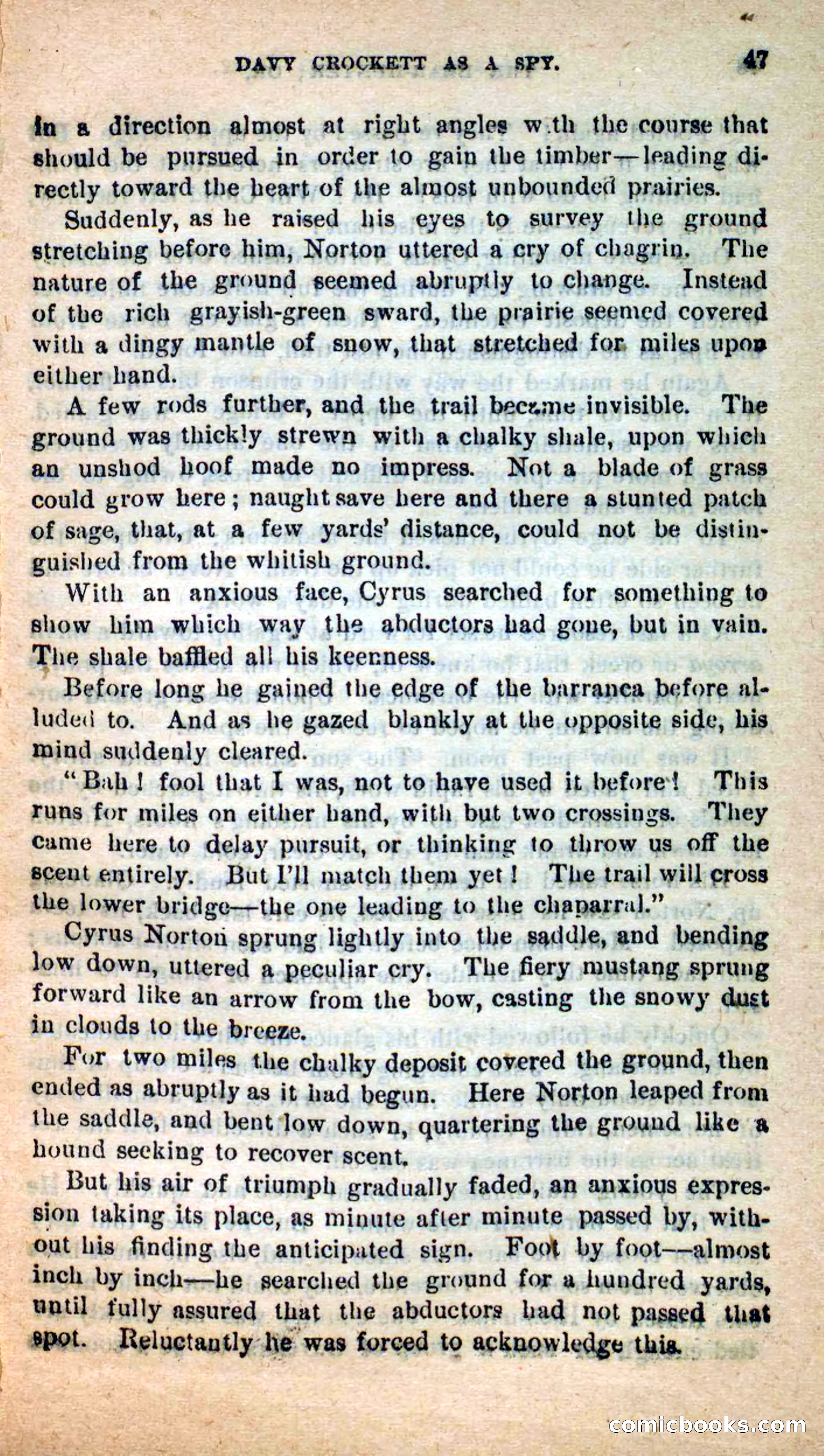 Beadle's Dime Novels: The Bear-Hunter — page 43 of 100
