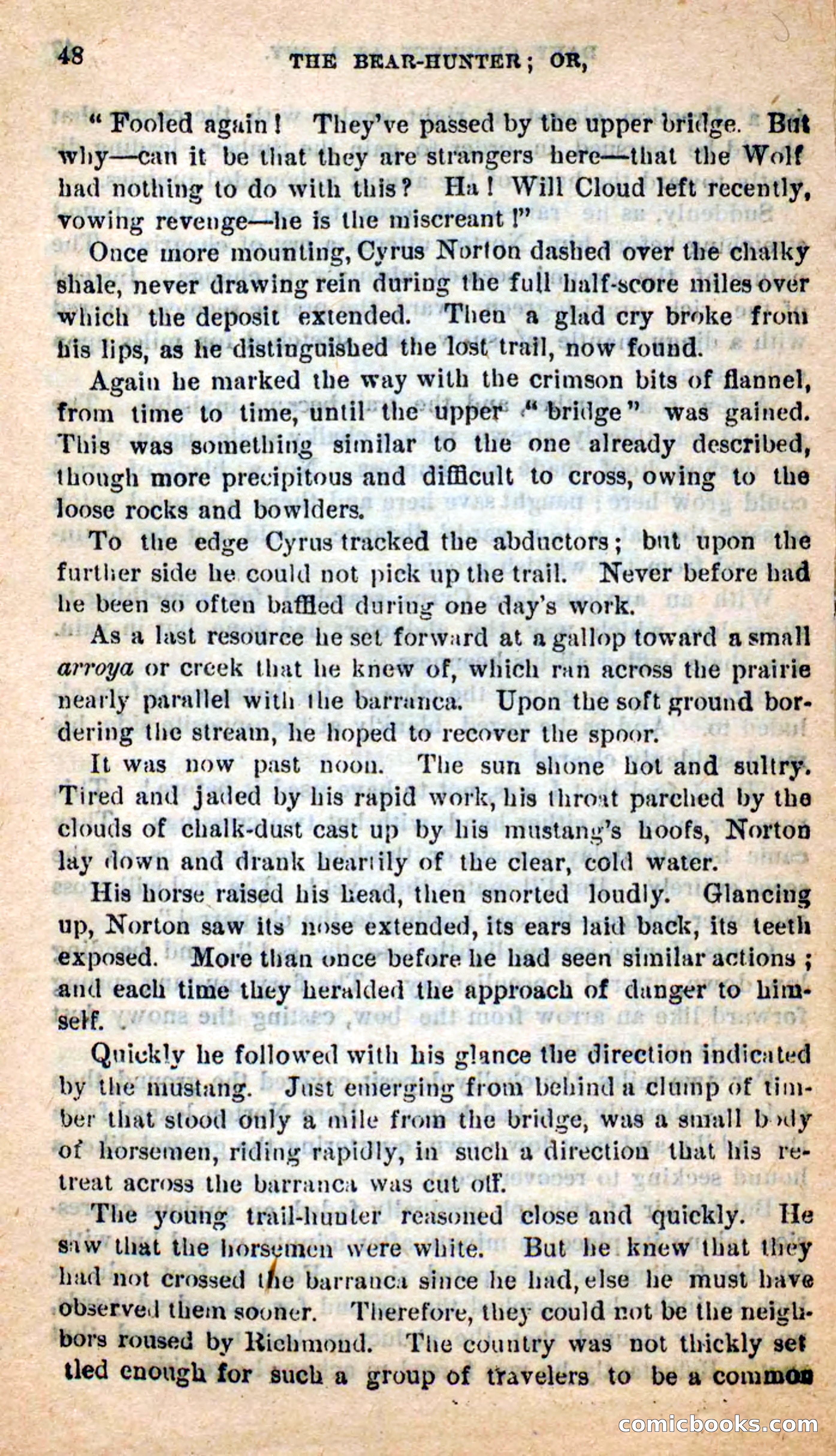 Beadle's Dime Novels: The Bear-Hunter — page 44 of 100