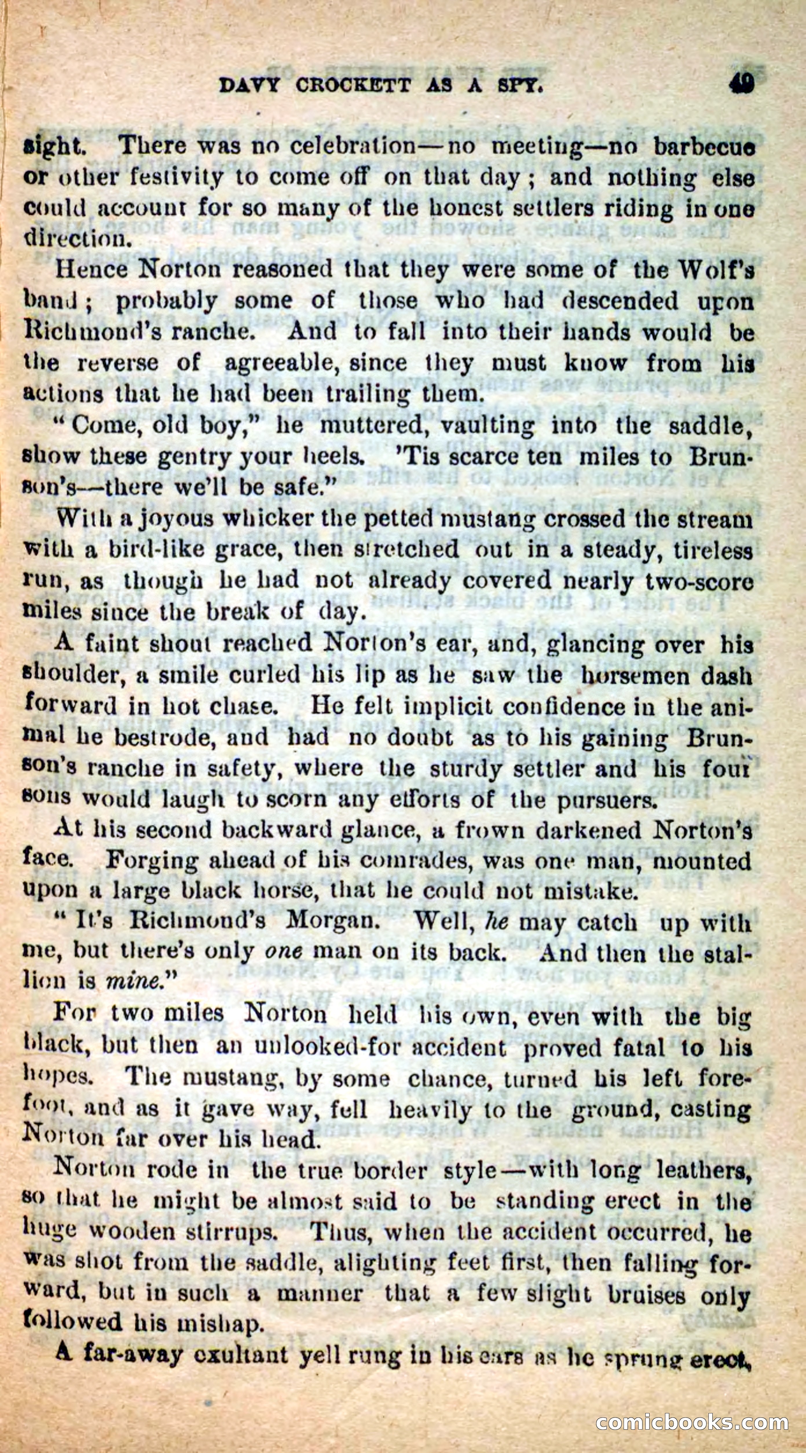 Beadle's Dime Novels: The Bear-Hunter — page 45 of 100