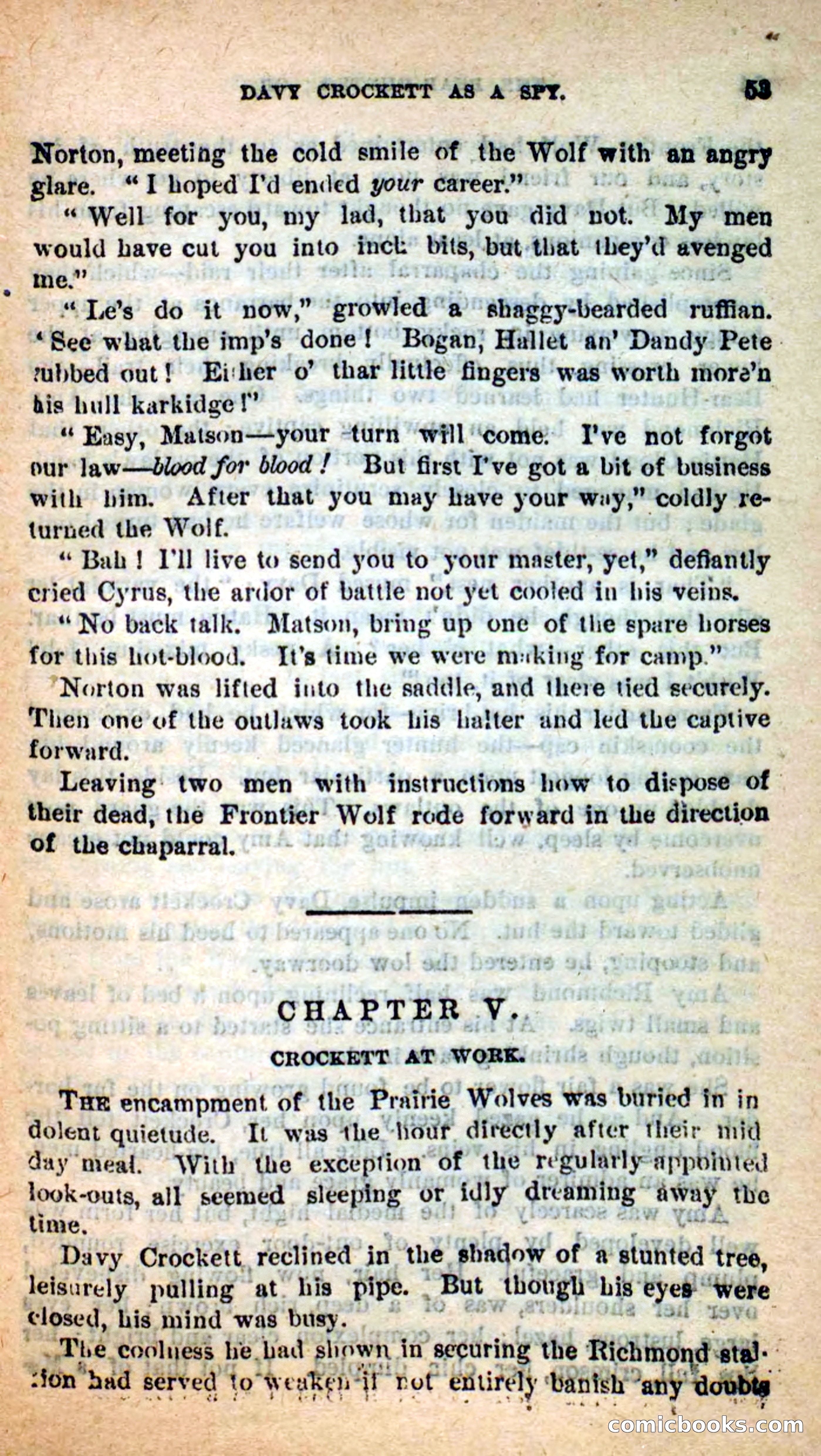 Beadle's Dime Novels: The Bear-Hunter — page 49 of 100