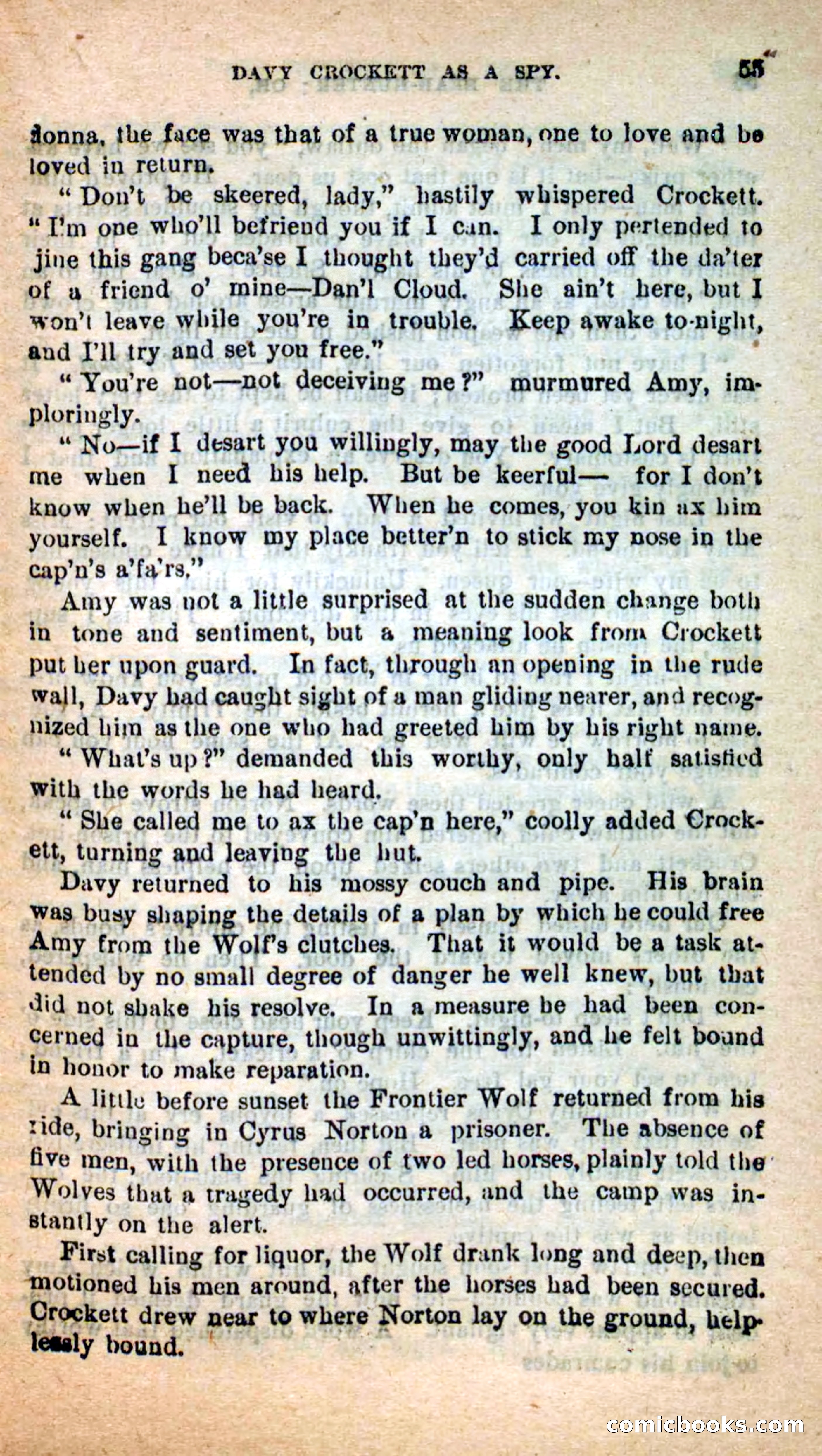 Beadle's Dime Novels: The Bear-Hunter — page 51 of 100