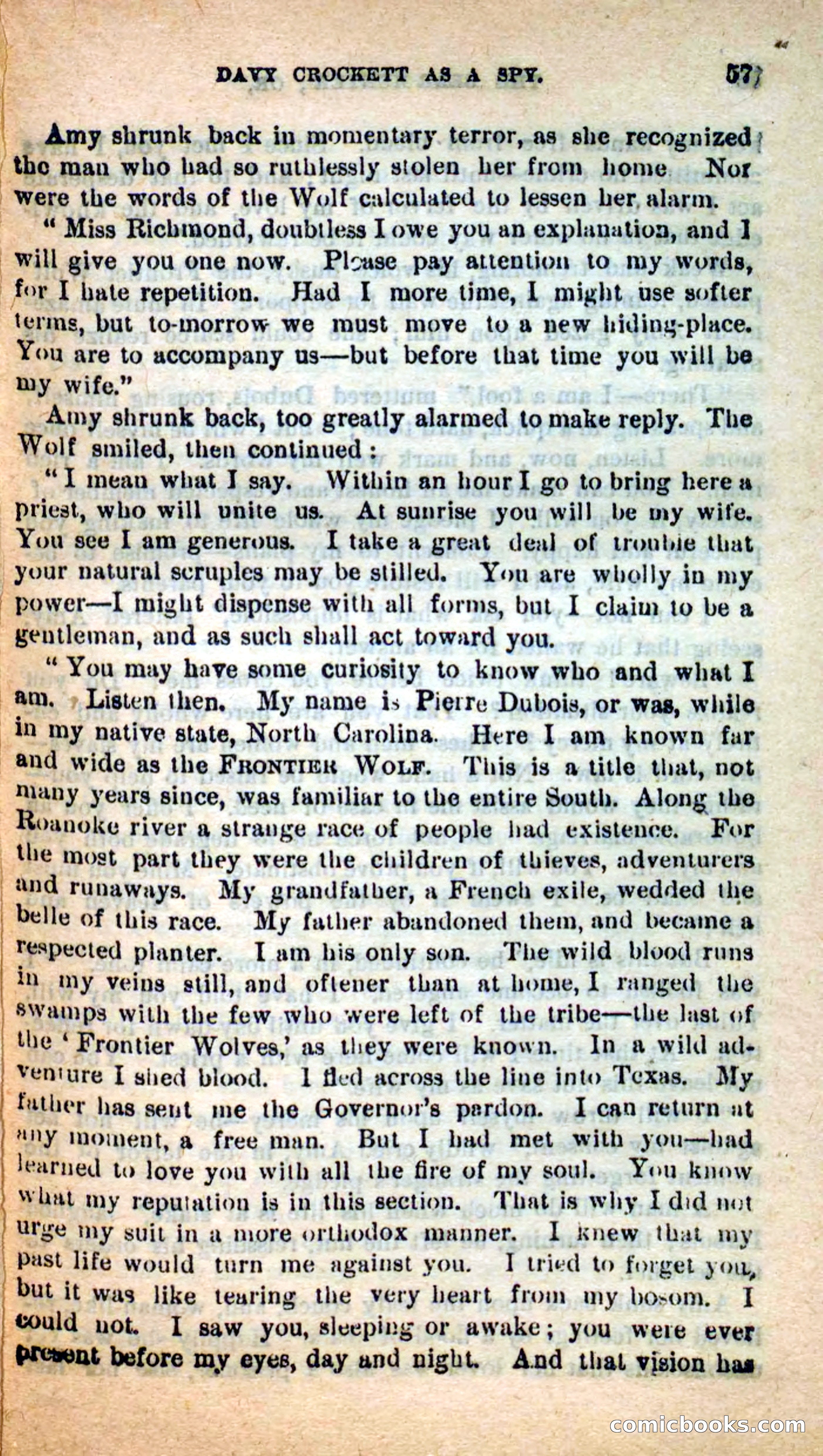 Beadle's Dime Novels: The Bear-Hunter — page 53 of 100