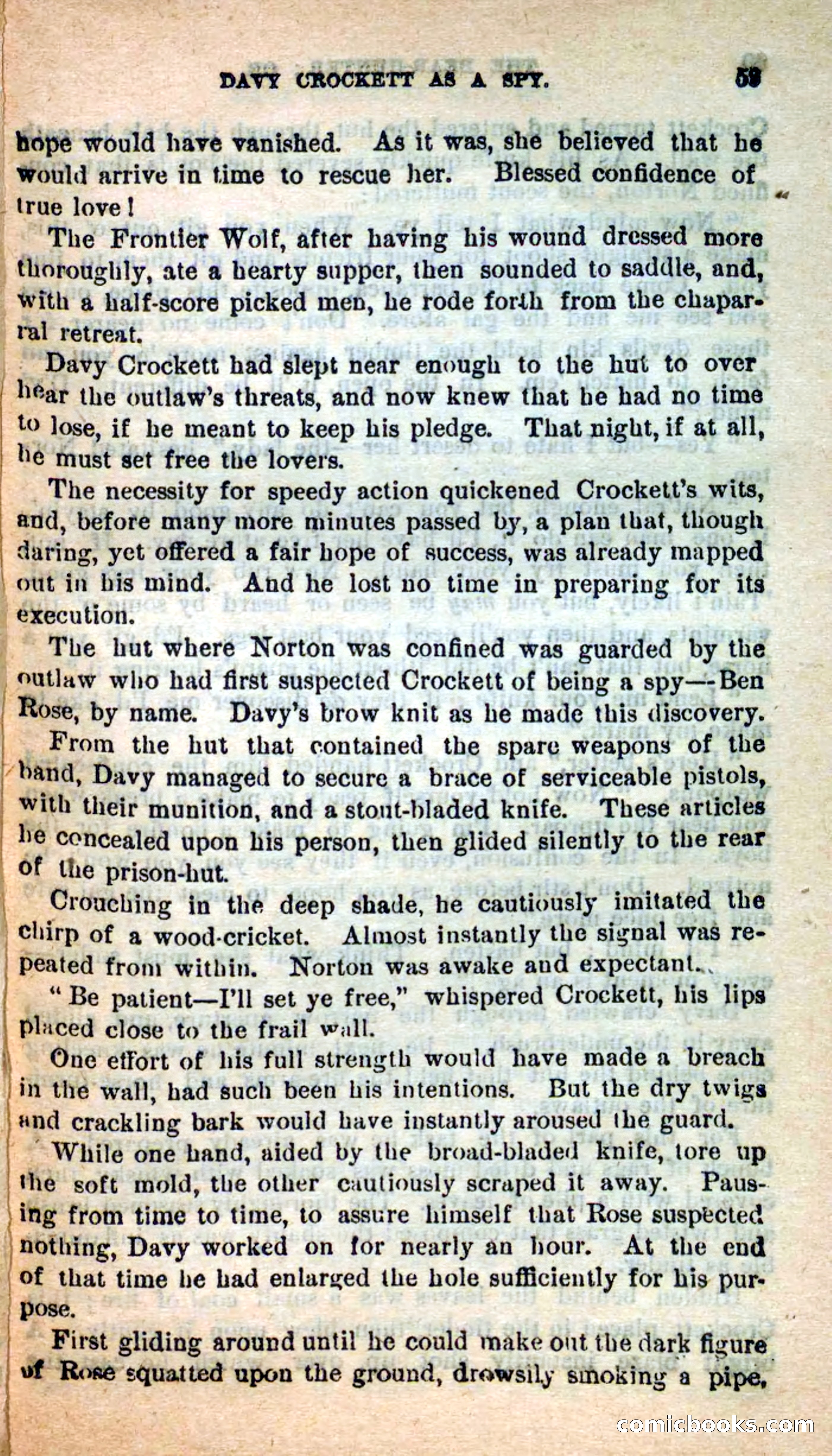 Beadle's Dime Novels: The Bear-Hunter — page 55 of 100