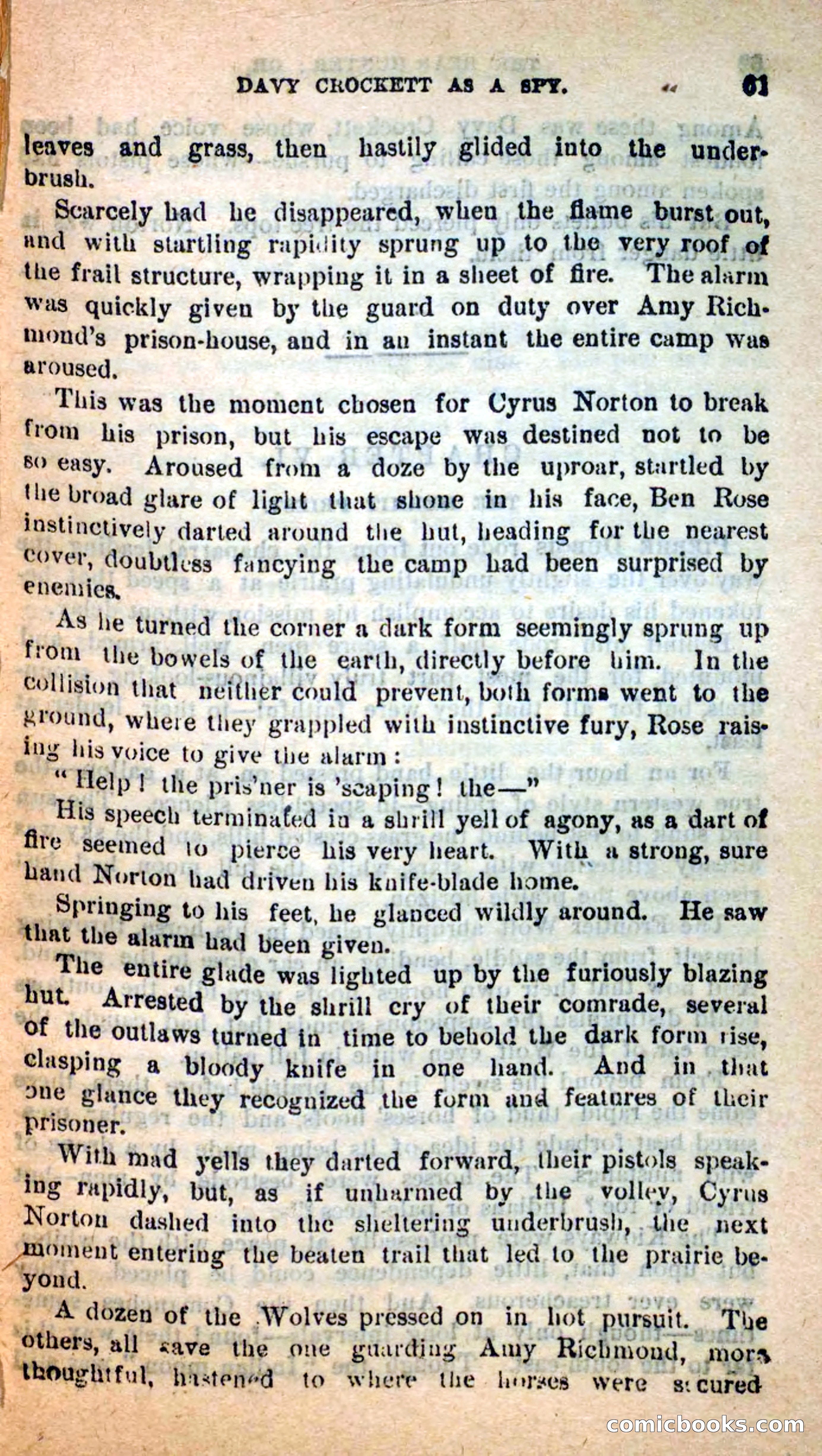 Beadle's Dime Novels: The Bear-Hunter — page 57 of 100