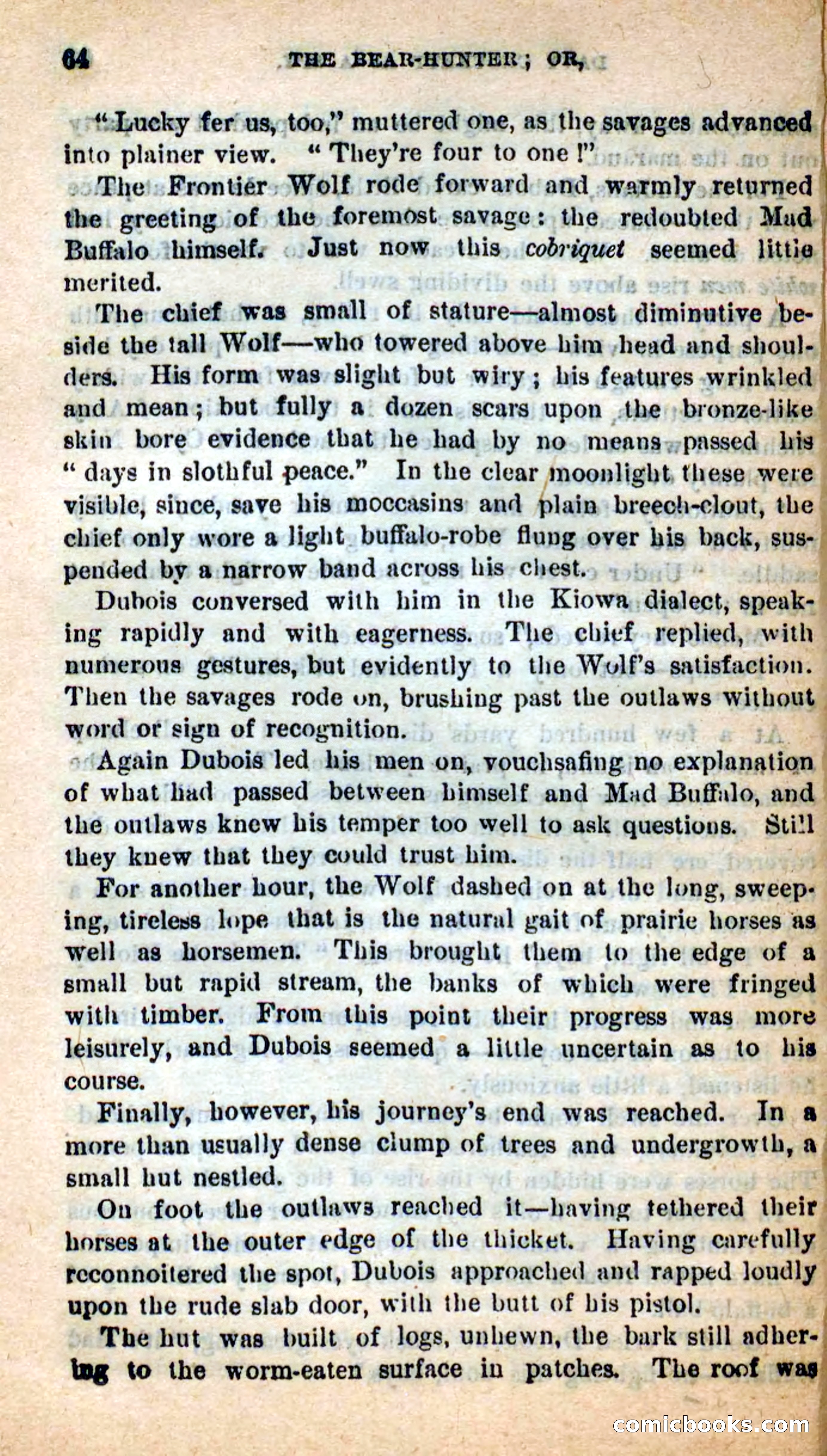 Beadle's Dime Novels: The Bear-Hunter — page 60 of 100
