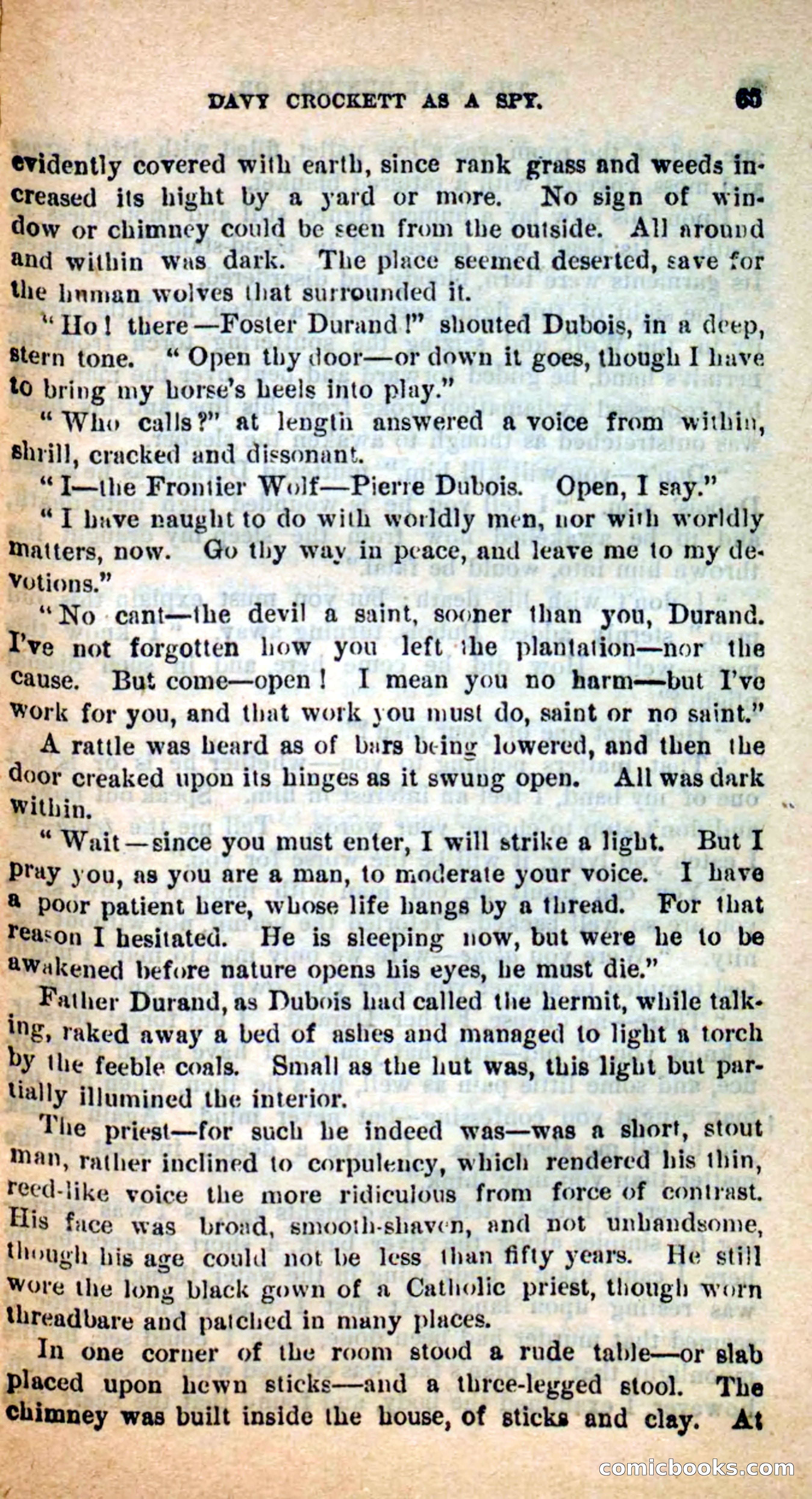 Beadle's Dime Novels: The Bear-Hunter — page 61 of 100