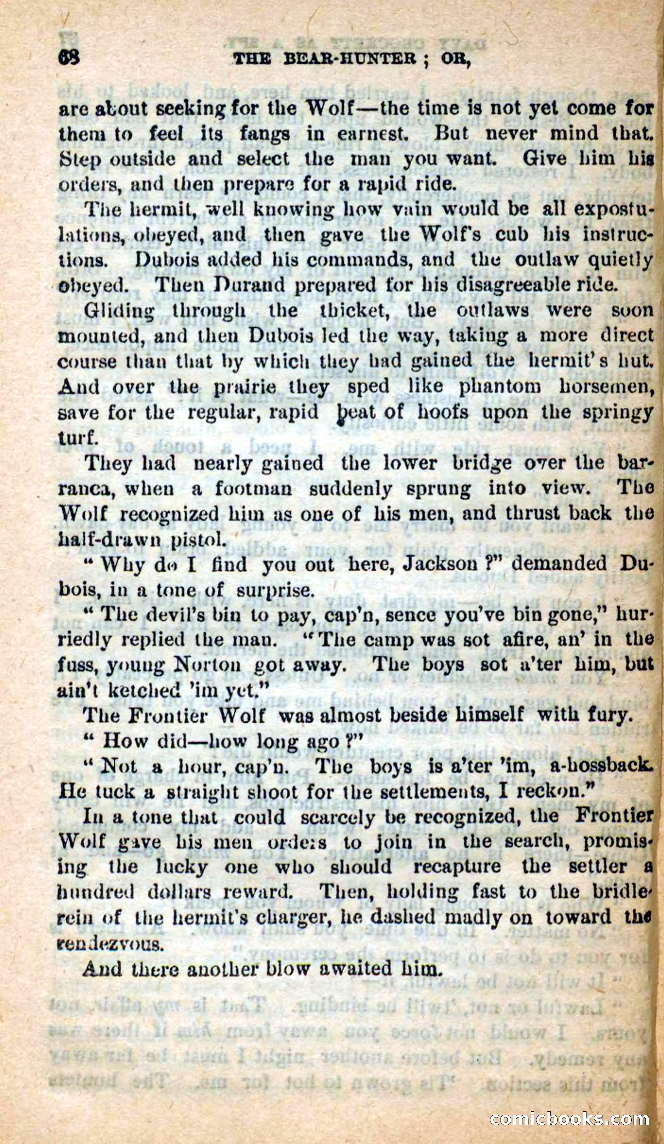 Beadle's Dime Novels: The Bear-Hunter — page 64 of 100