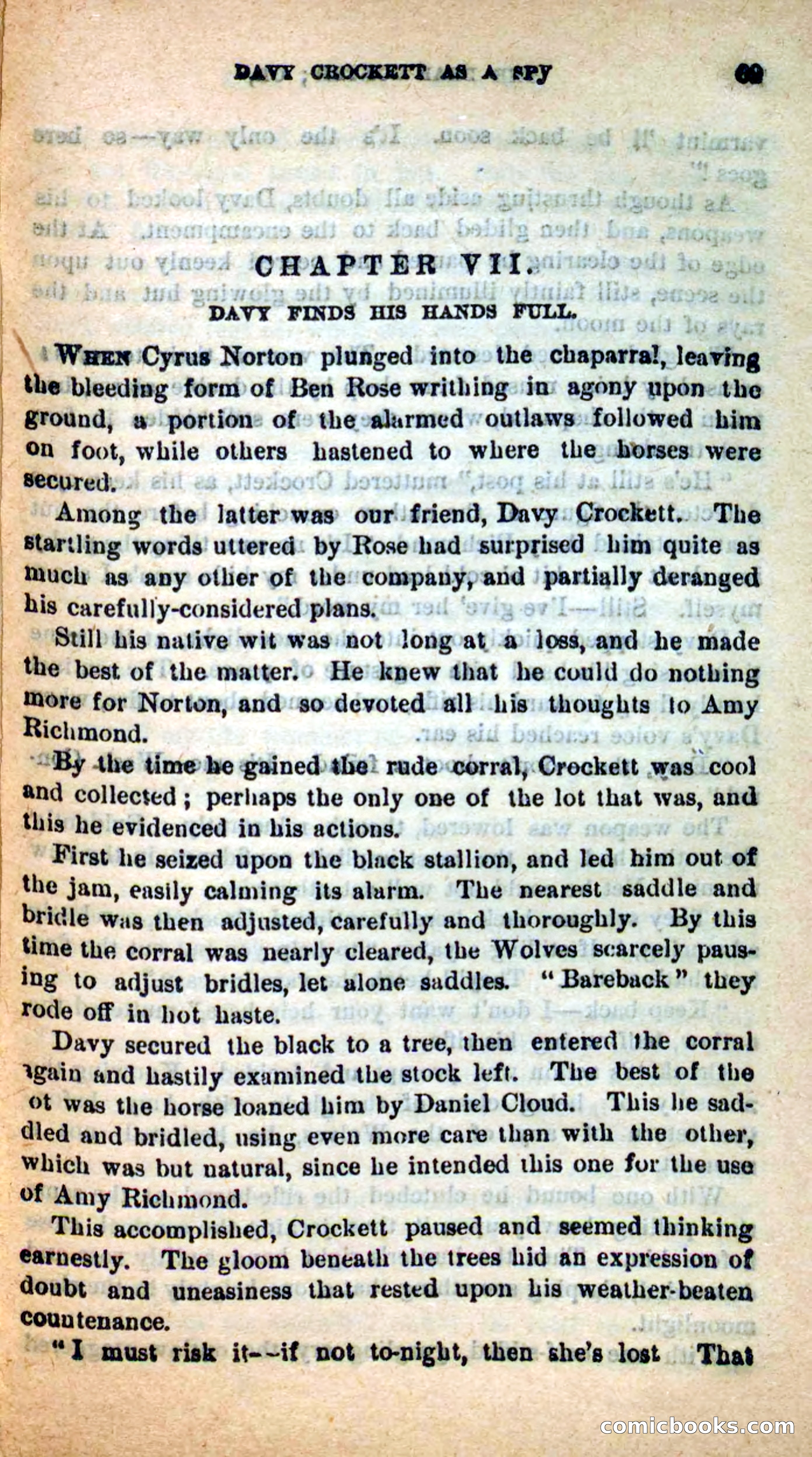 Beadle's Dime Novels: The Bear-Hunter — page 65 of 100