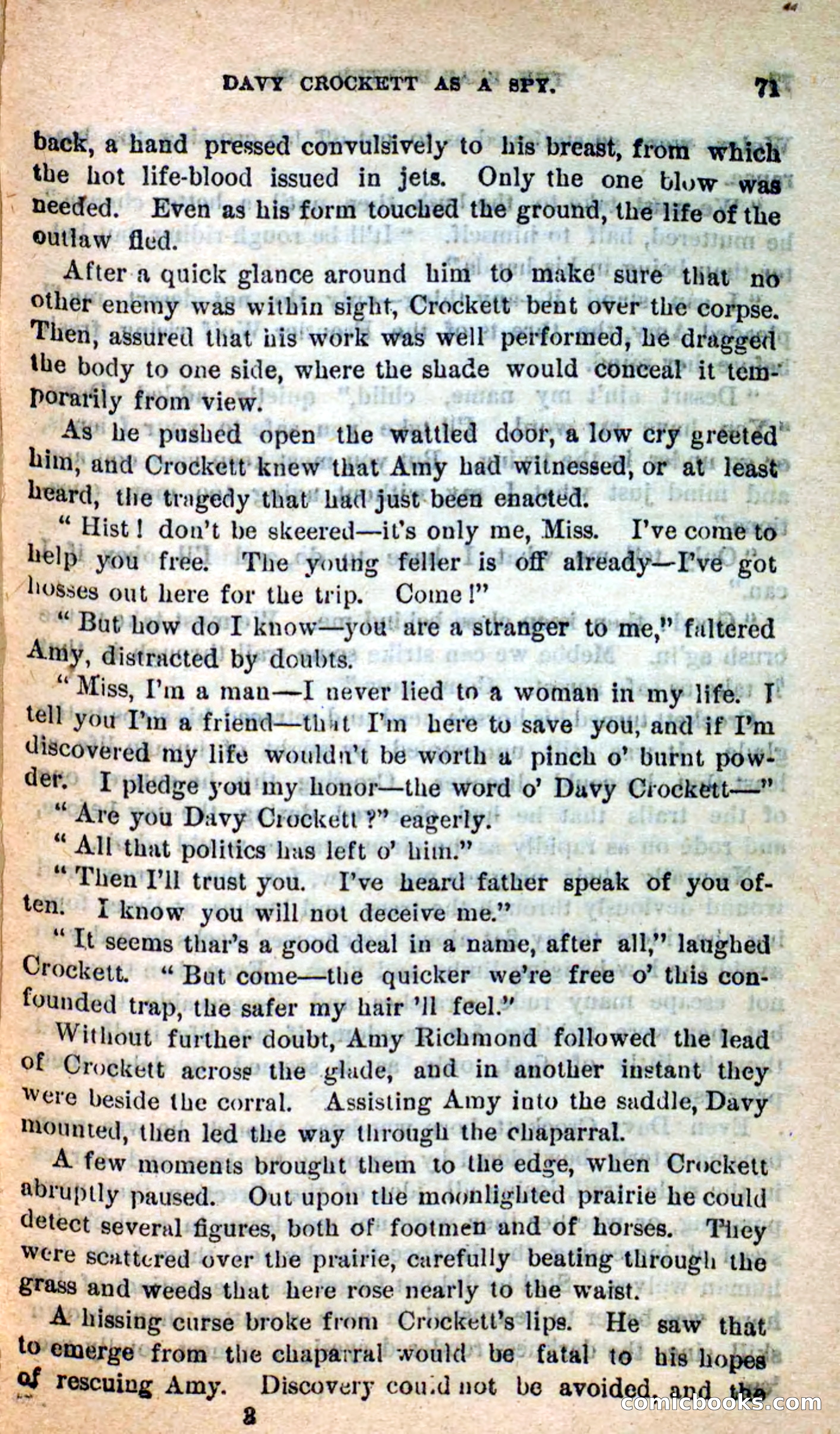 Beadle's Dime Novels: The Bear-Hunter — page 67 of 100