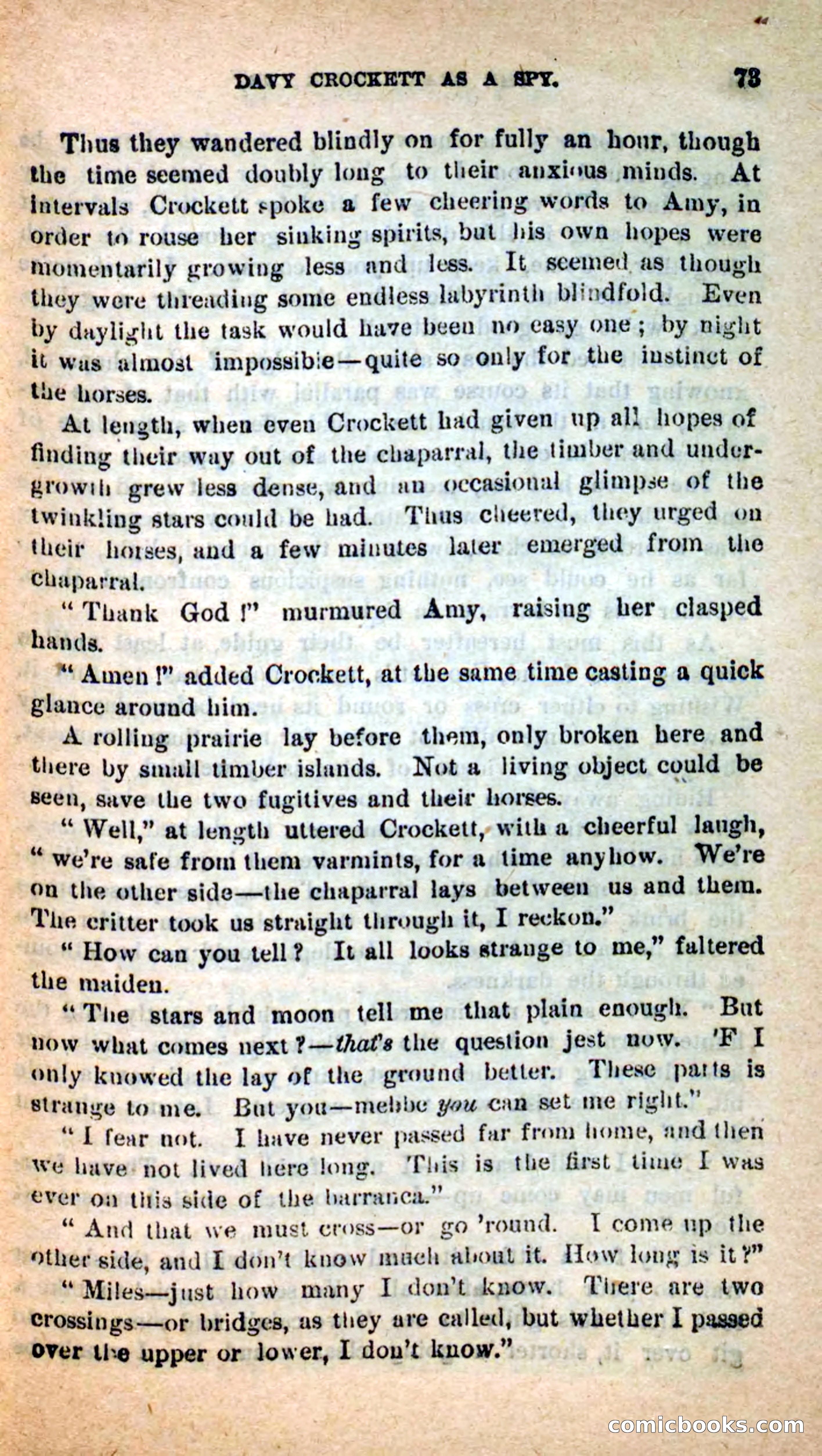 Beadle's Dime Novels: The Bear-Hunter — page 69 of 100