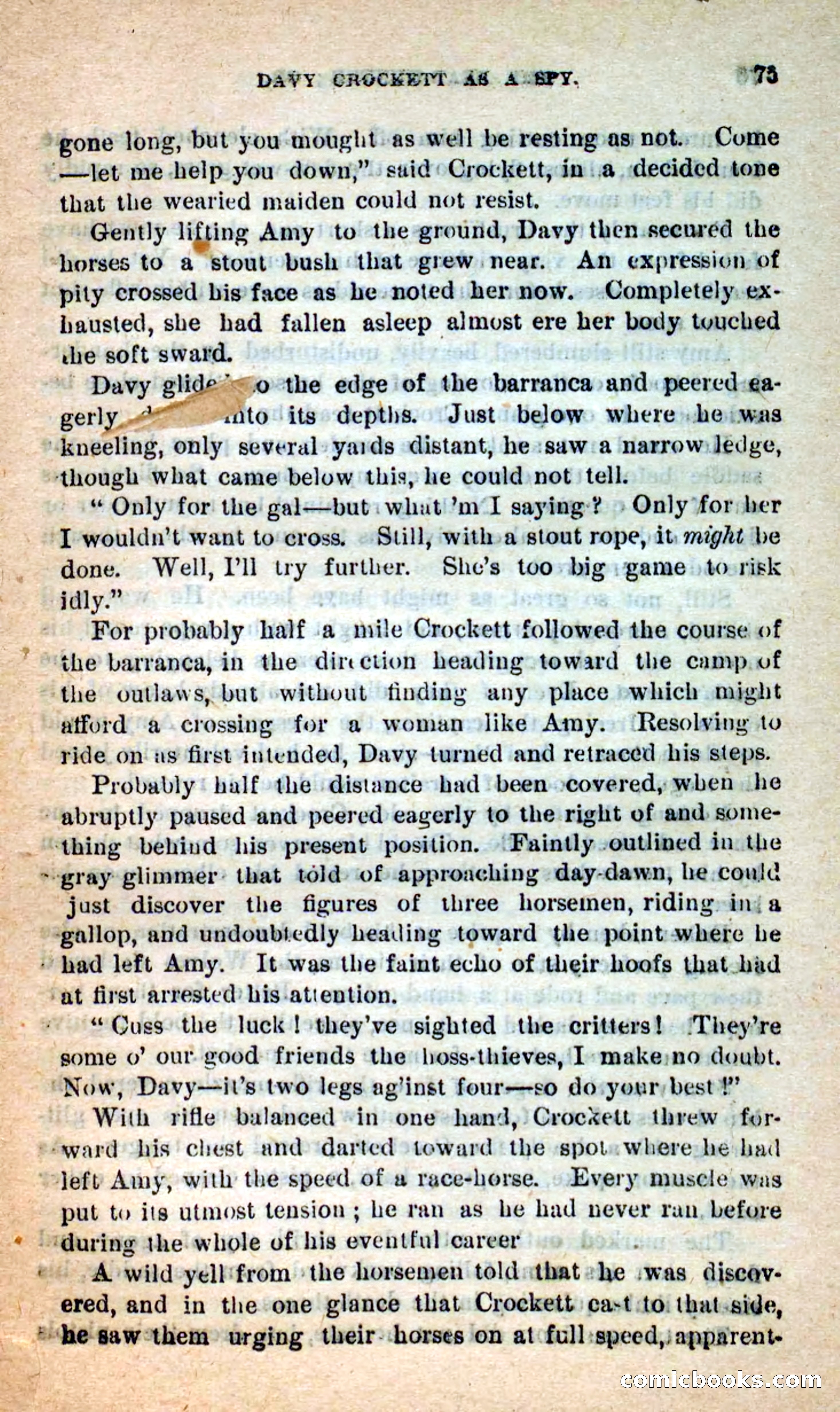 Beadle's Dime Novels: The Bear-Hunter — page 71 of 100