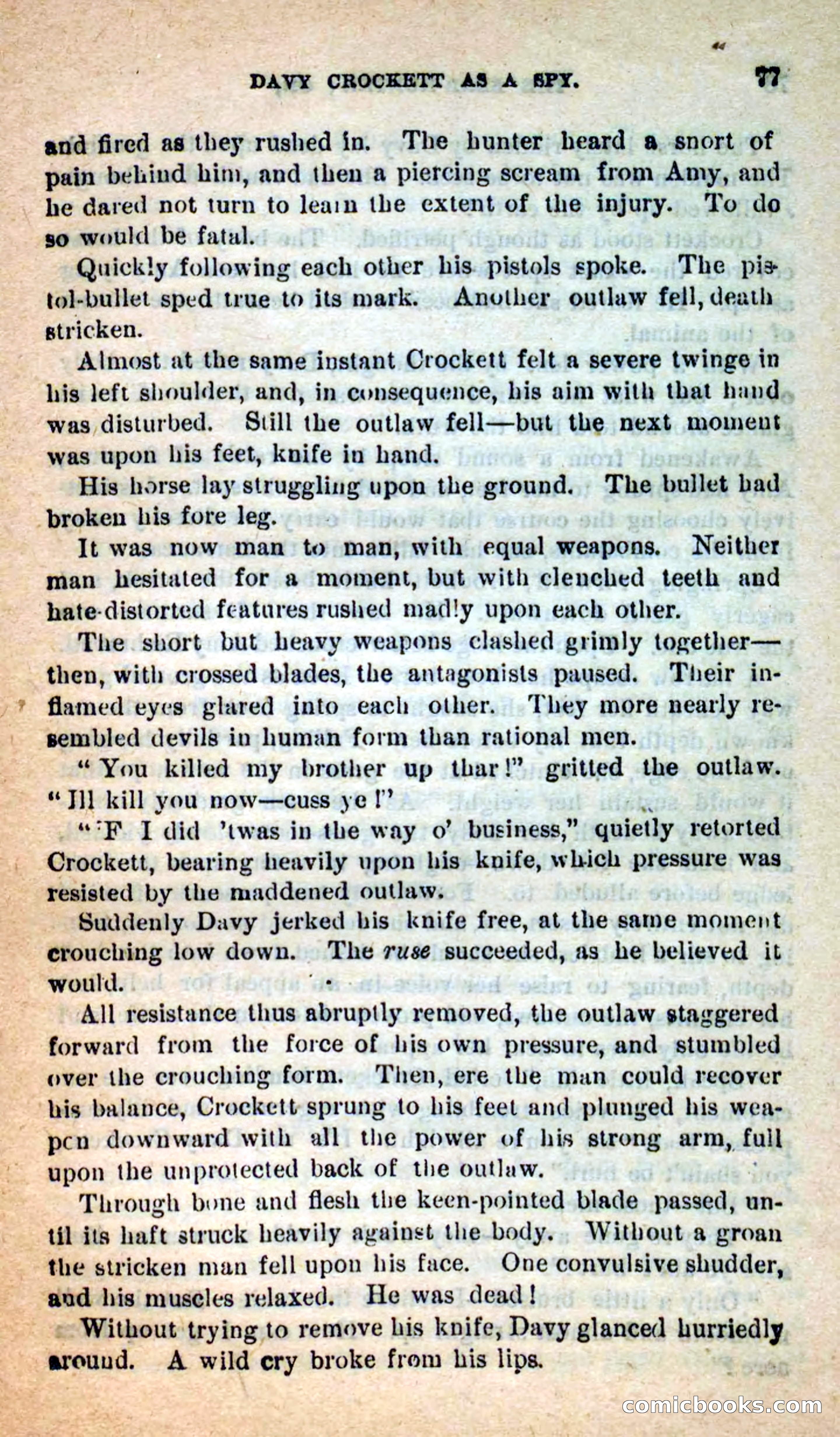 Beadle's Dime Novels: The Bear-Hunter — page 73 of 100