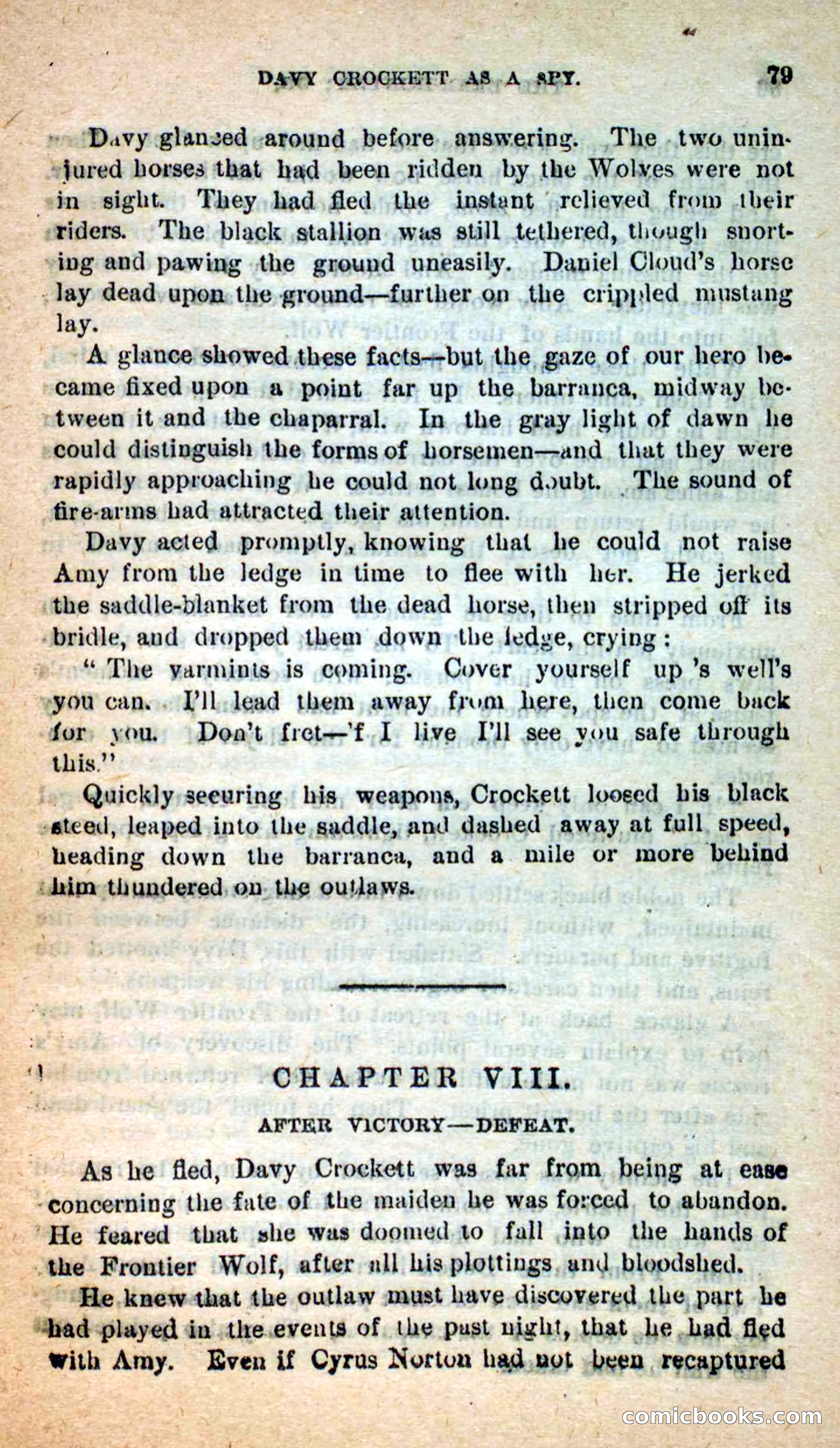 Beadle's Dime Novels: The Bear-Hunter — page 75 of 100