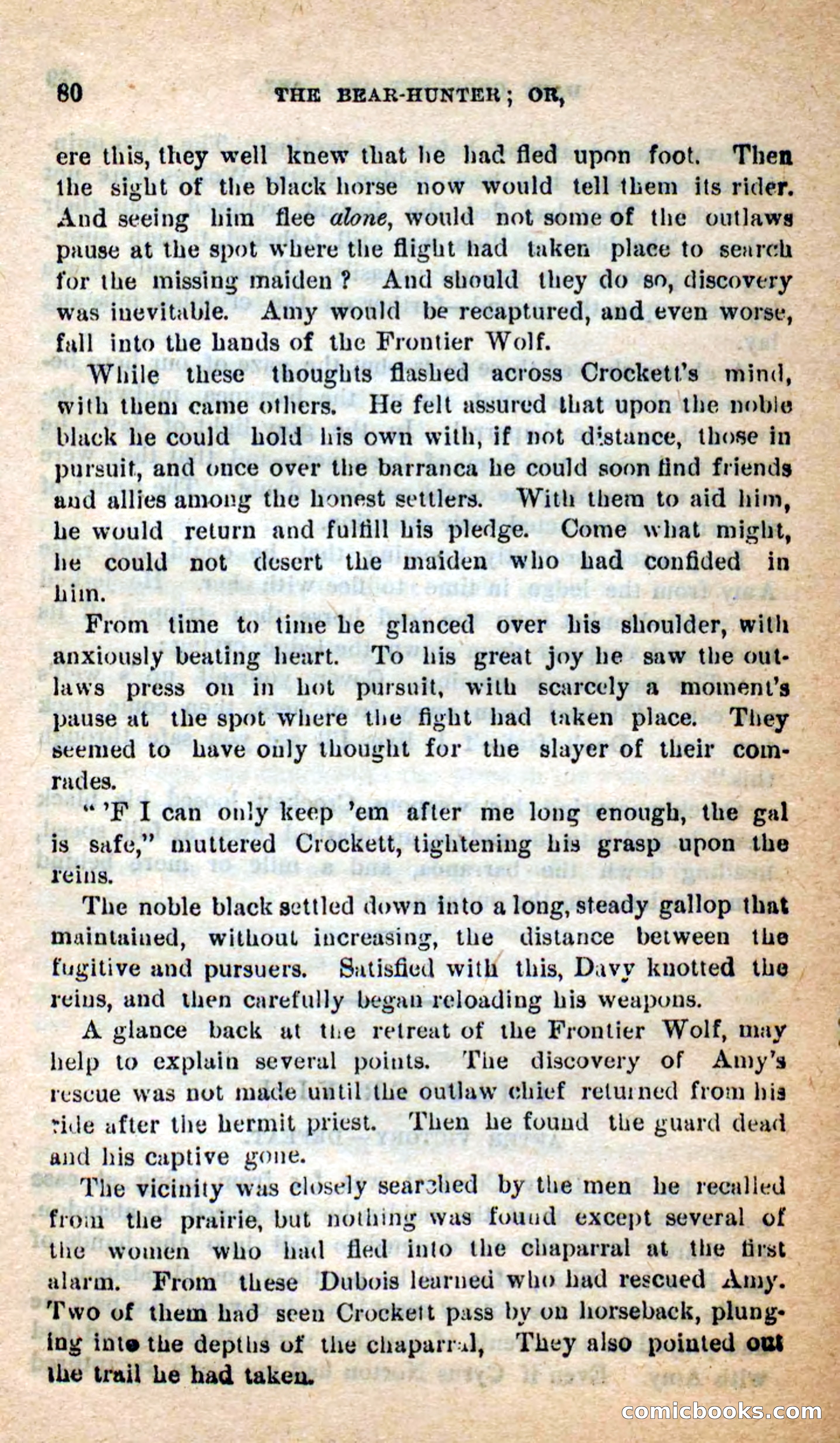 Beadle's Dime Novels: The Bear-Hunter — page 76 of 100