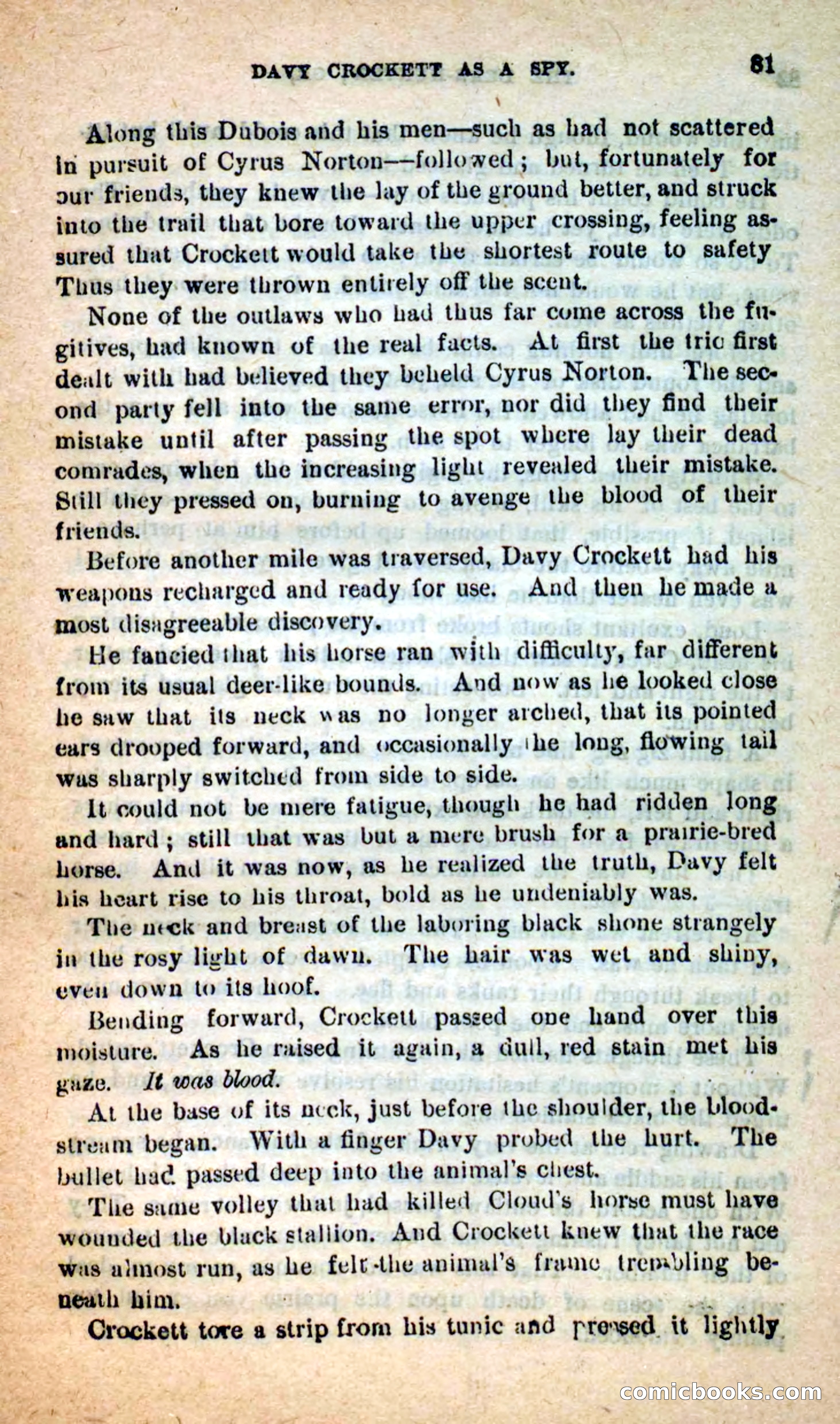 Beadle's Dime Novels: The Bear-Hunter — page 77 of 100