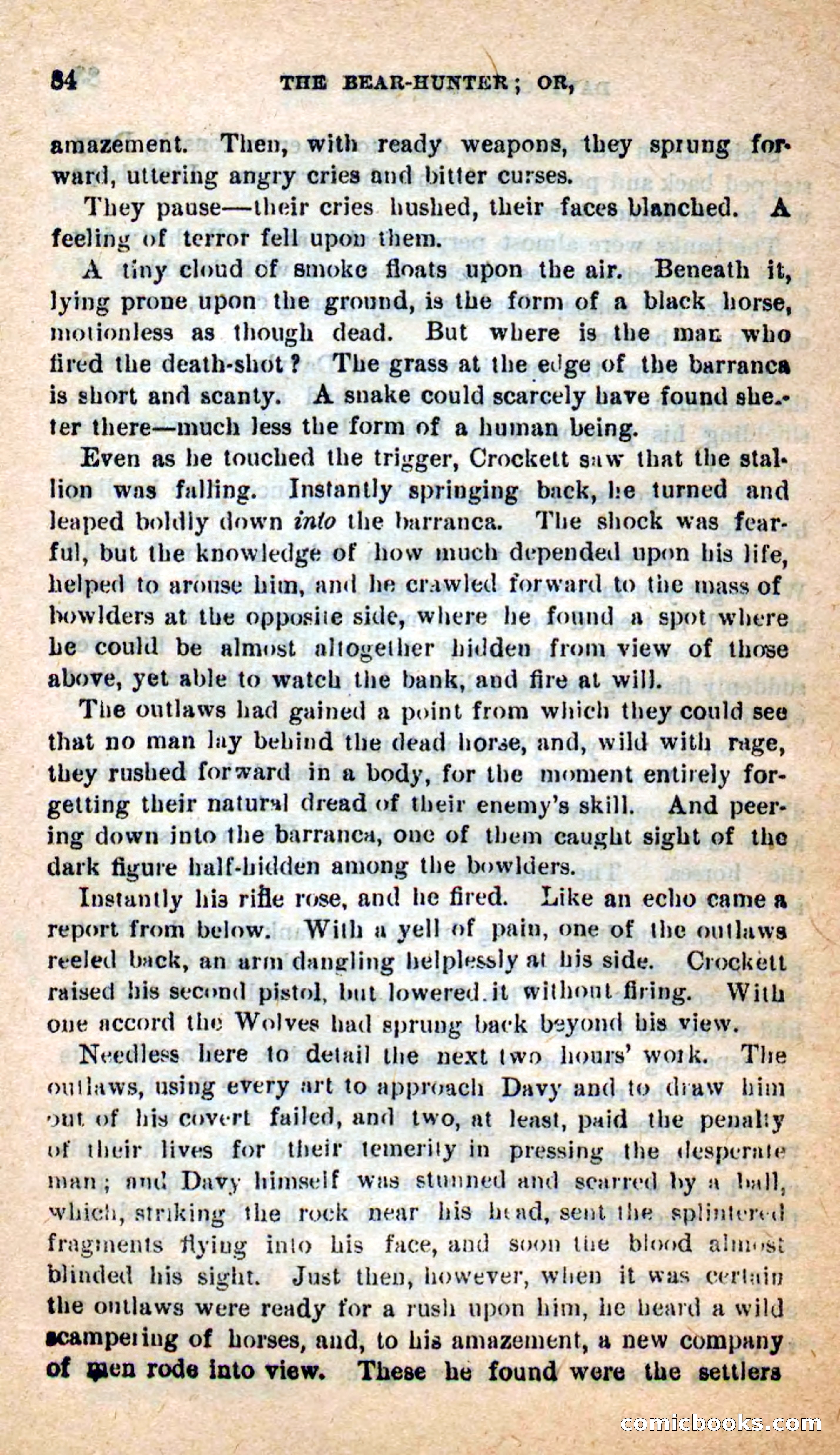 Beadle's Dime Novels: The Bear-Hunter — page 80 of 100