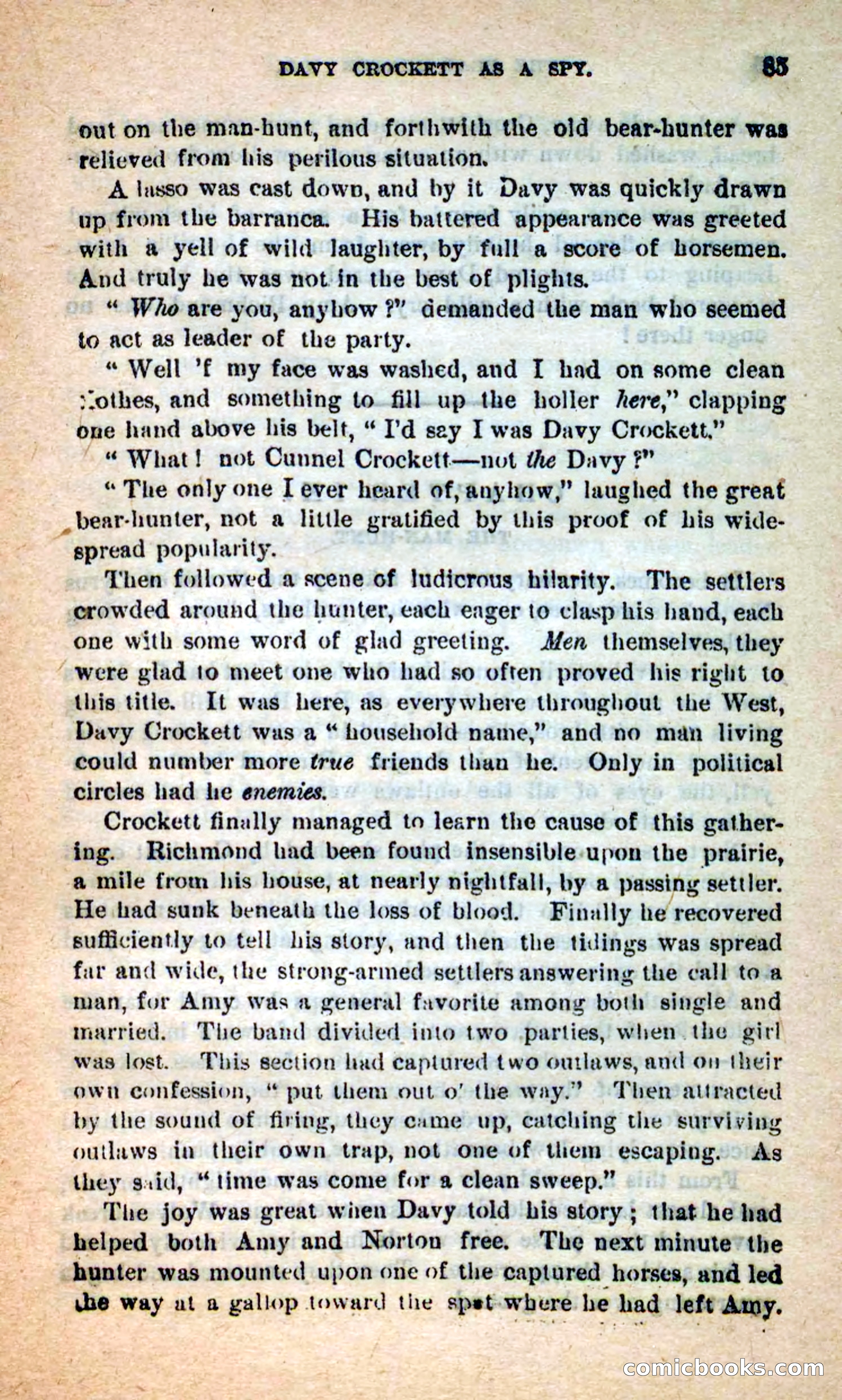 Beadle's Dime Novels: The Bear-Hunter — page 81 of 100
