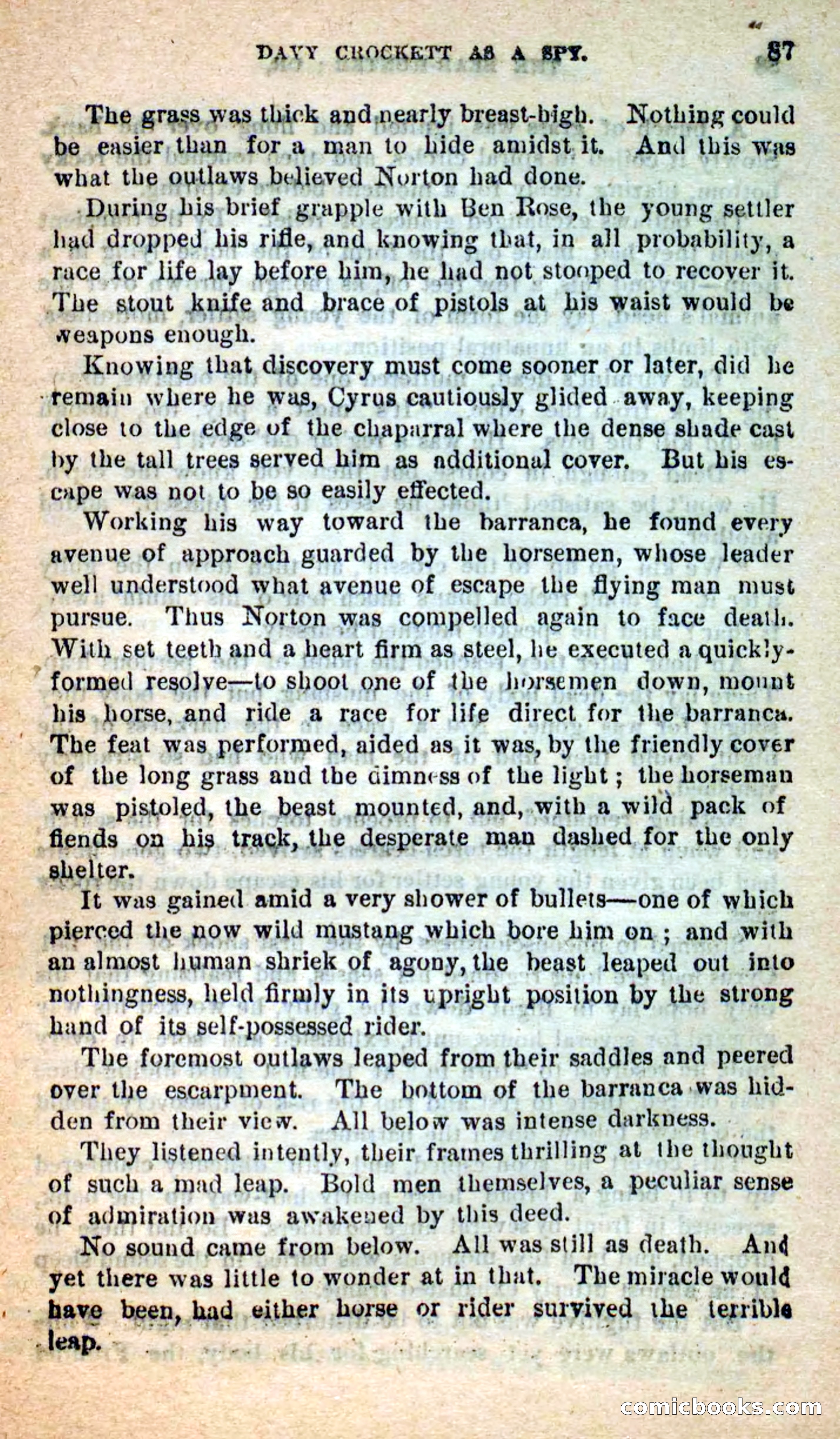 Beadle's Dime Novels: The Bear-Hunter — page 83 of 100