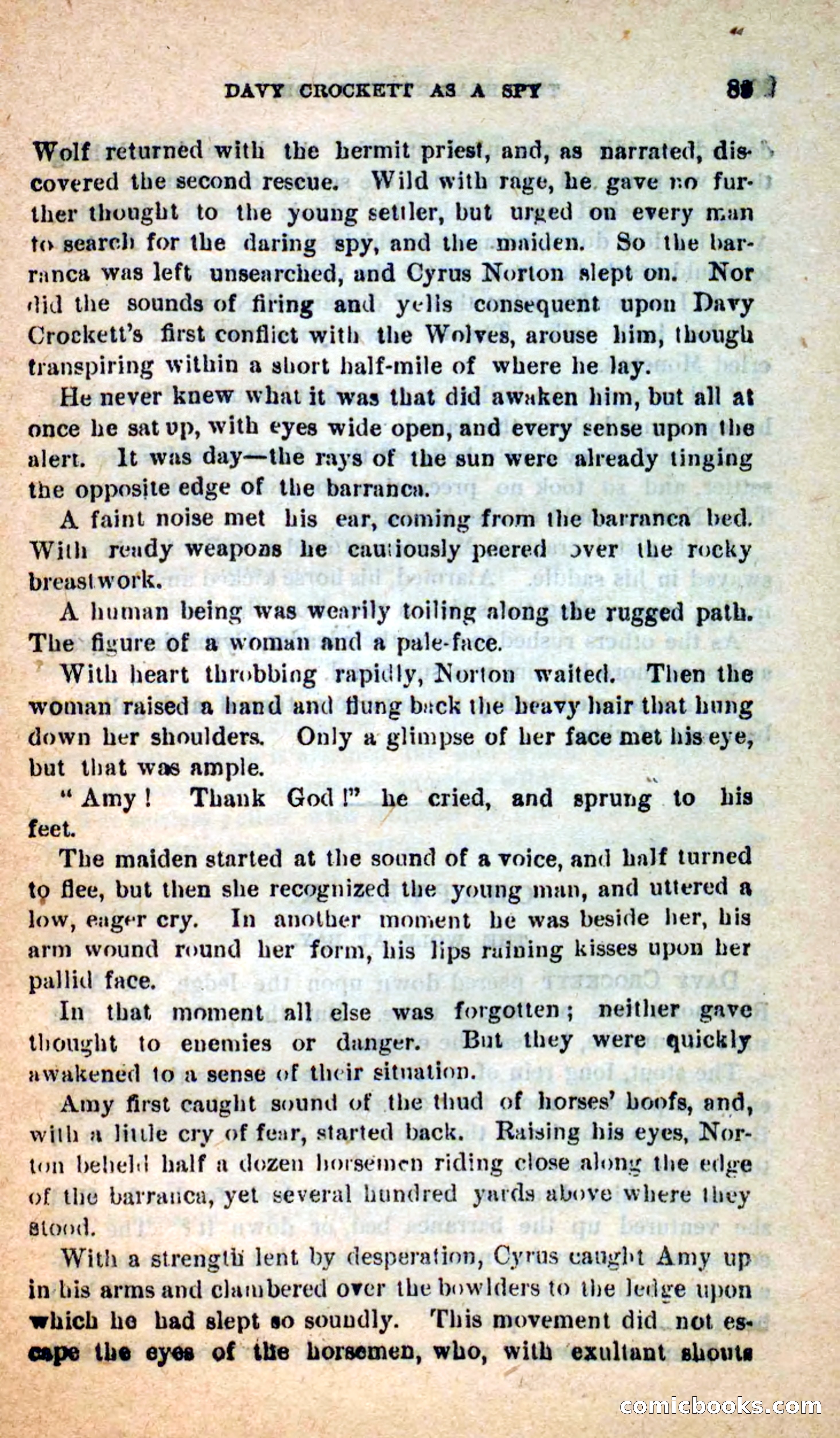 Beadle's Dime Novels: The Bear-Hunter — page 85 of 100