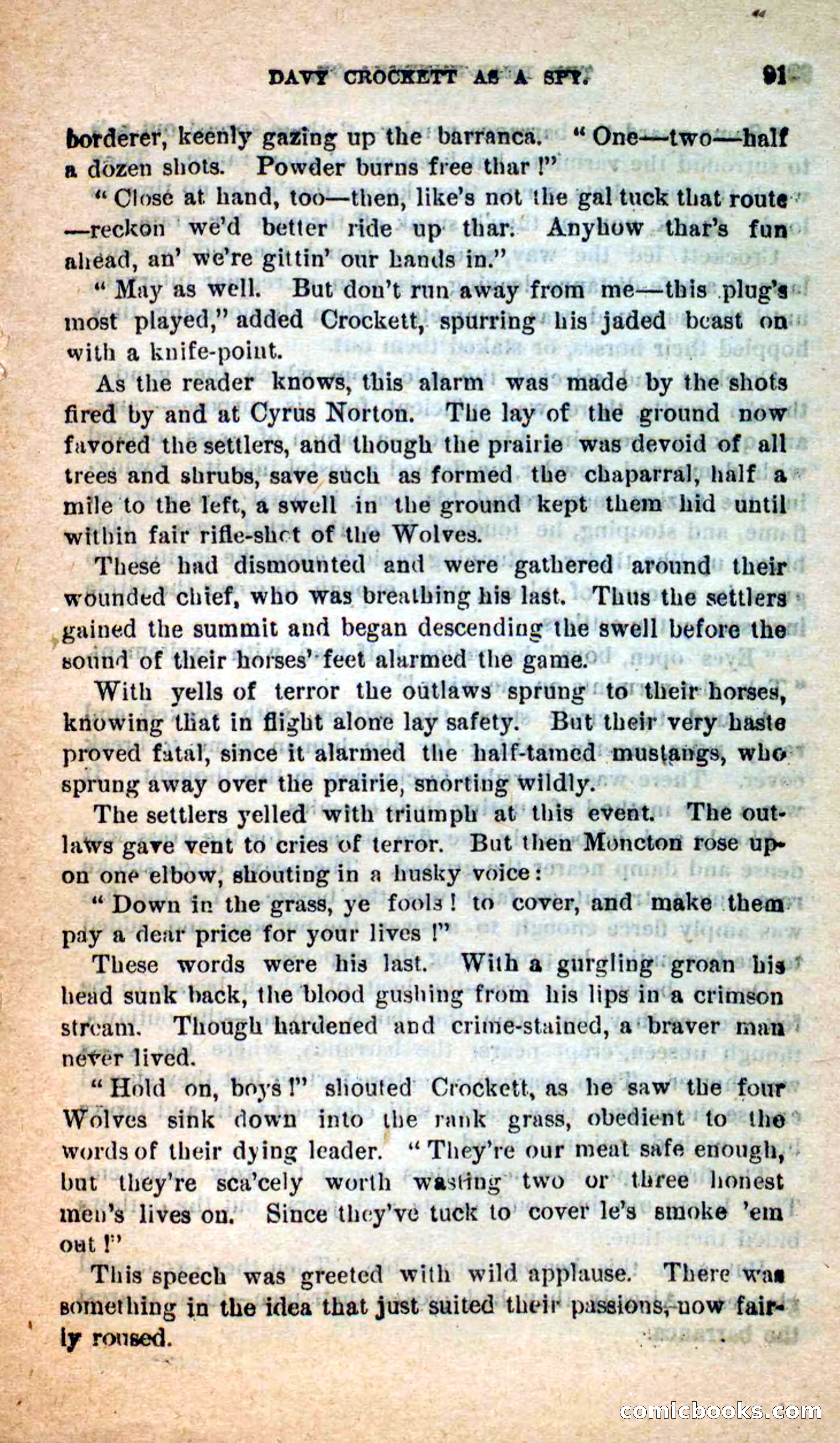 Beadle's Dime Novels: The Bear-Hunter — page 87 of 100