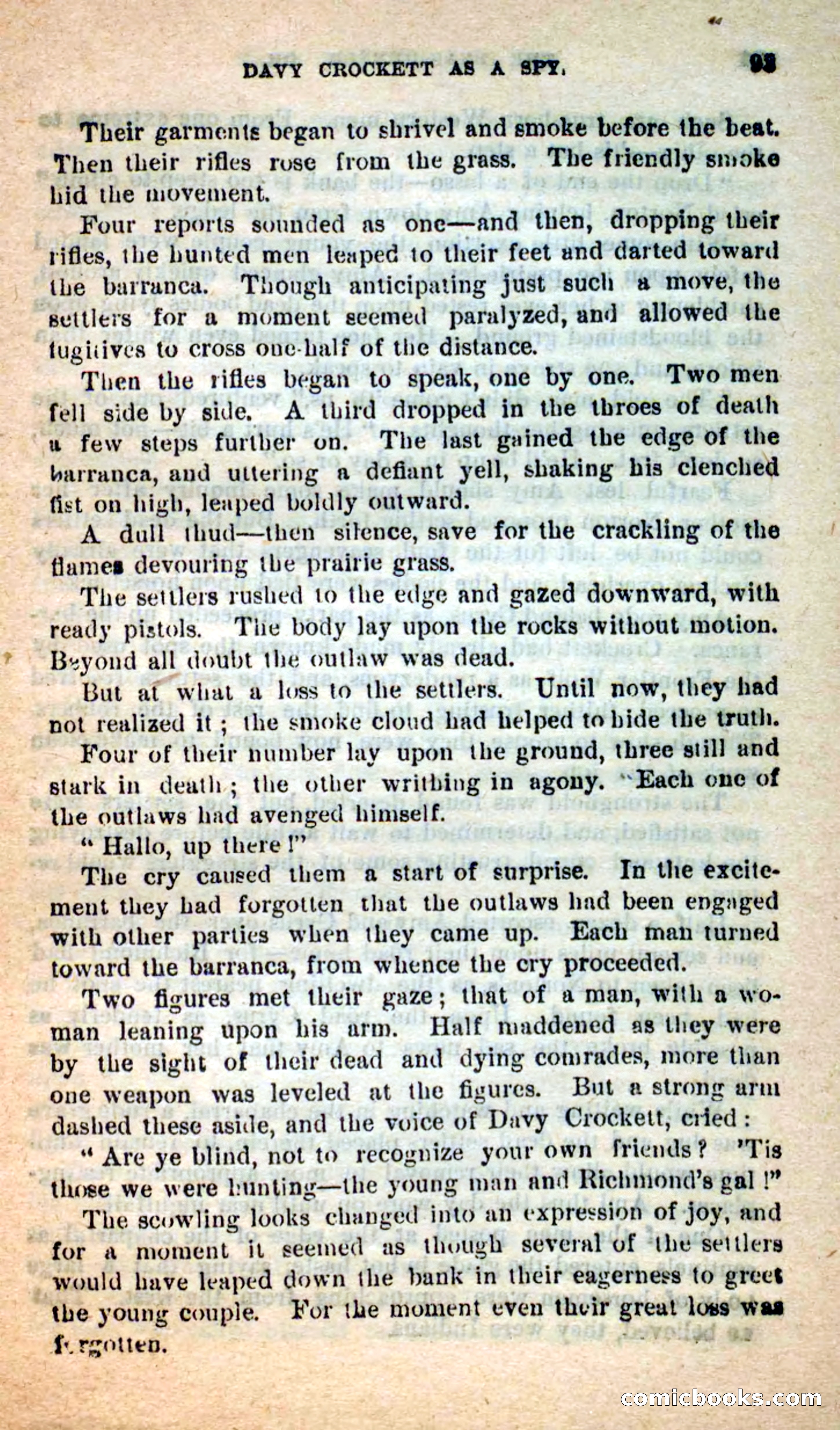 Beadle's Dime Novels: The Bear-Hunter — page 89 of 100