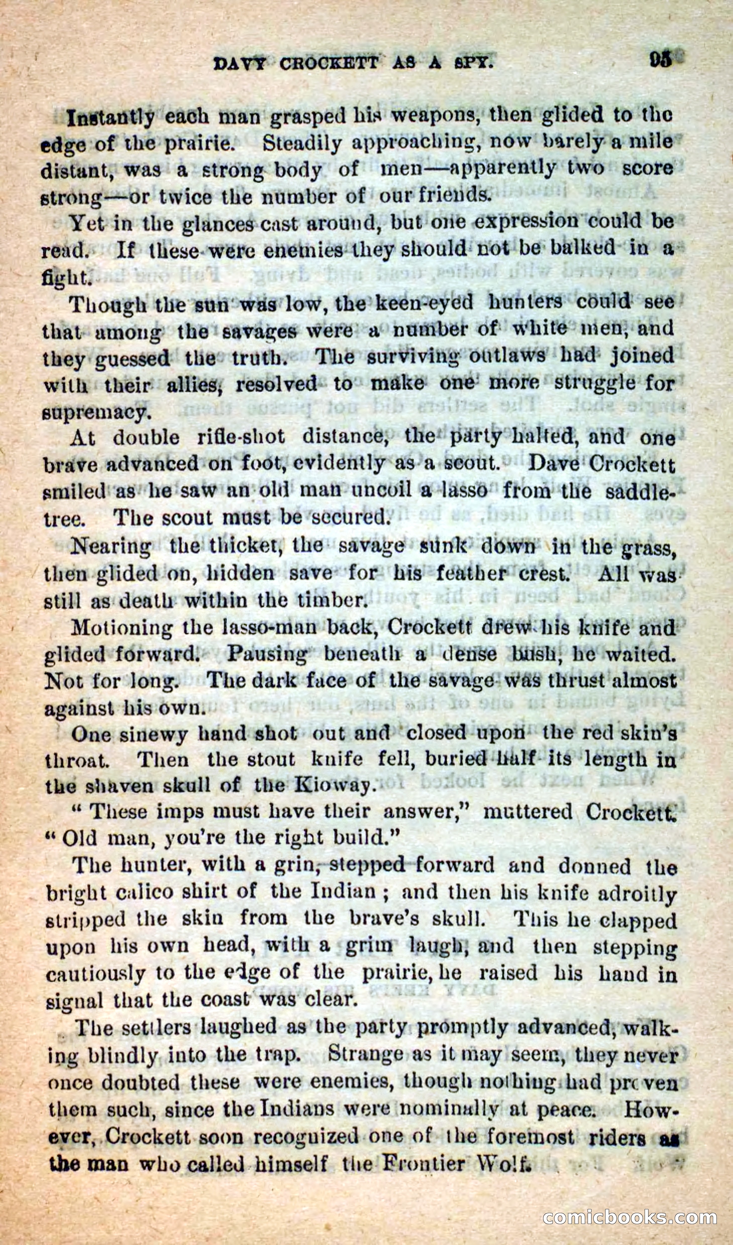 Beadle's Dime Novels: The Bear-Hunter — page 91 of 100