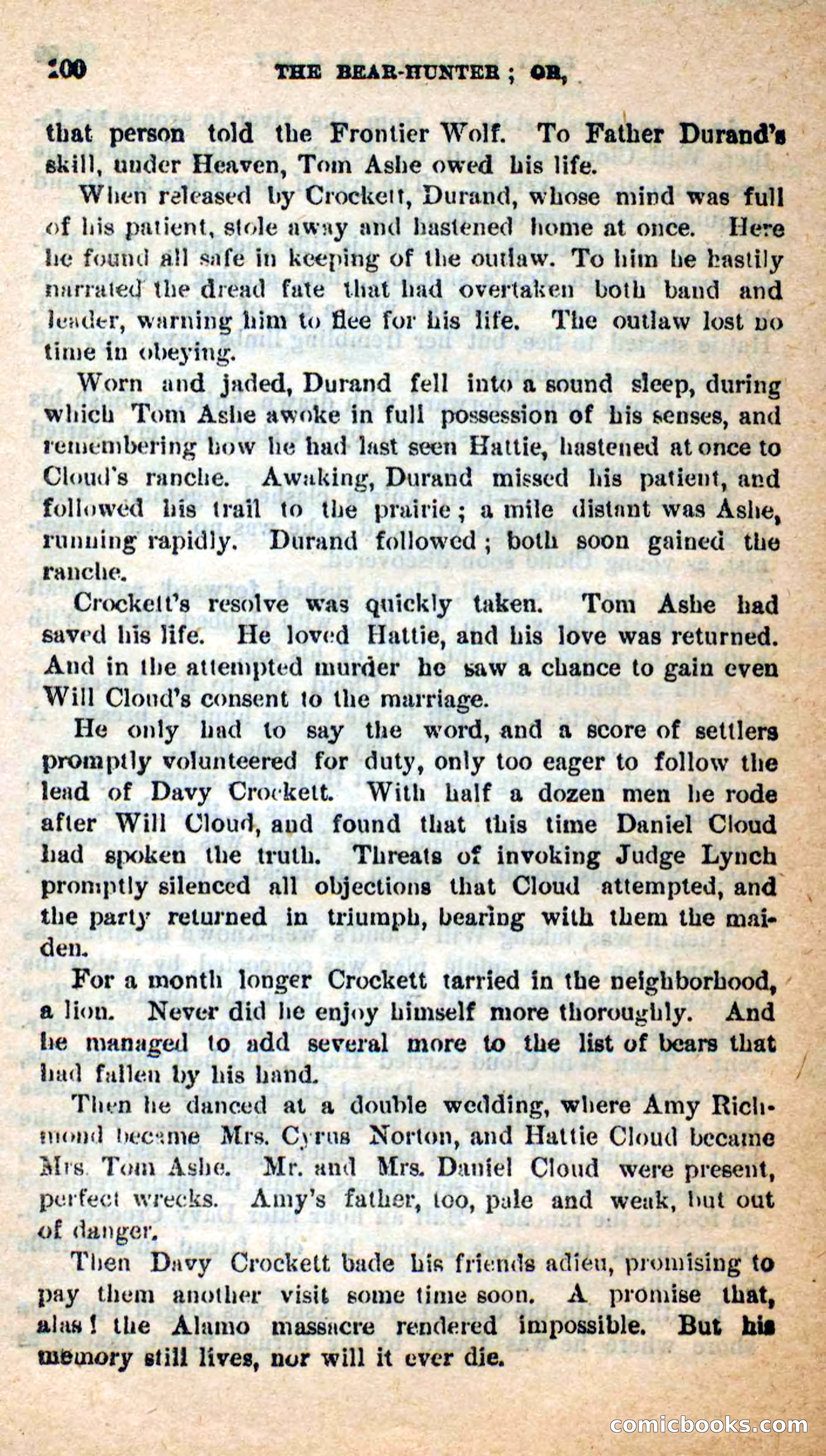 Beadle's Dime Novels: The Bear-Hunter — page 96 of 100