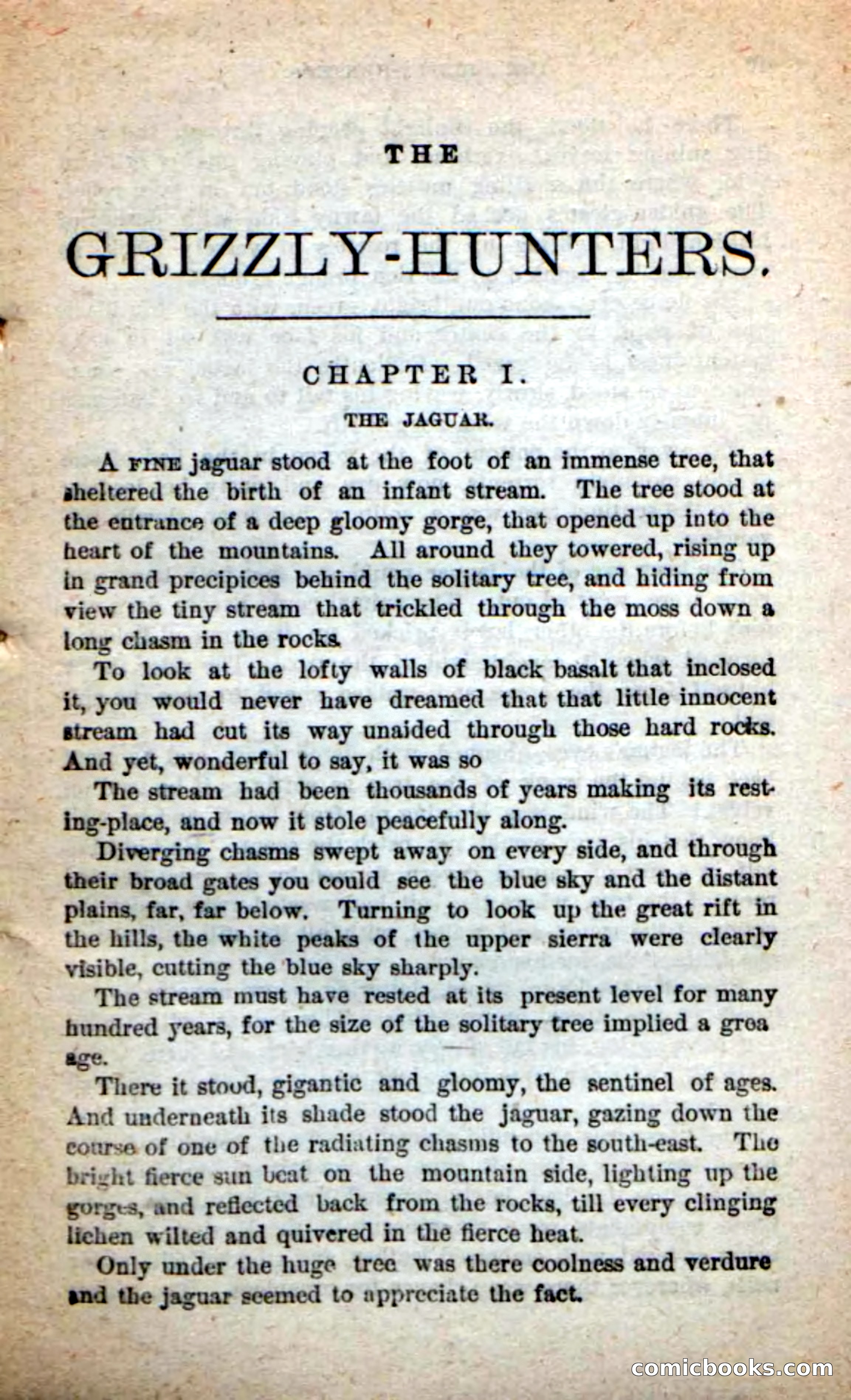 Beadle's Dime Novels: The Grizzly-Hunters — page 5 of 100