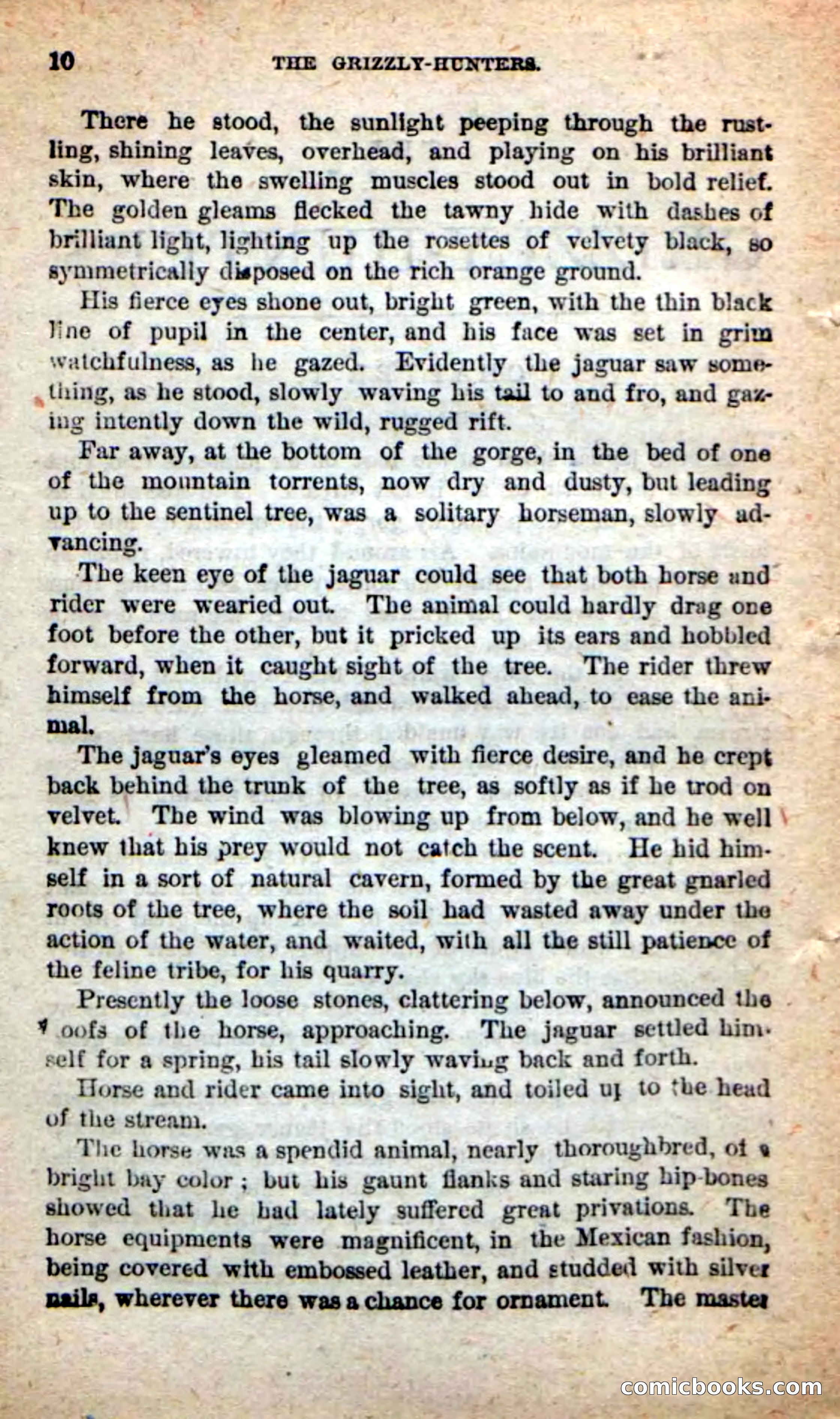 Beadle's Dime Novels: The Grizzly-Hunters — page 6 of 100
