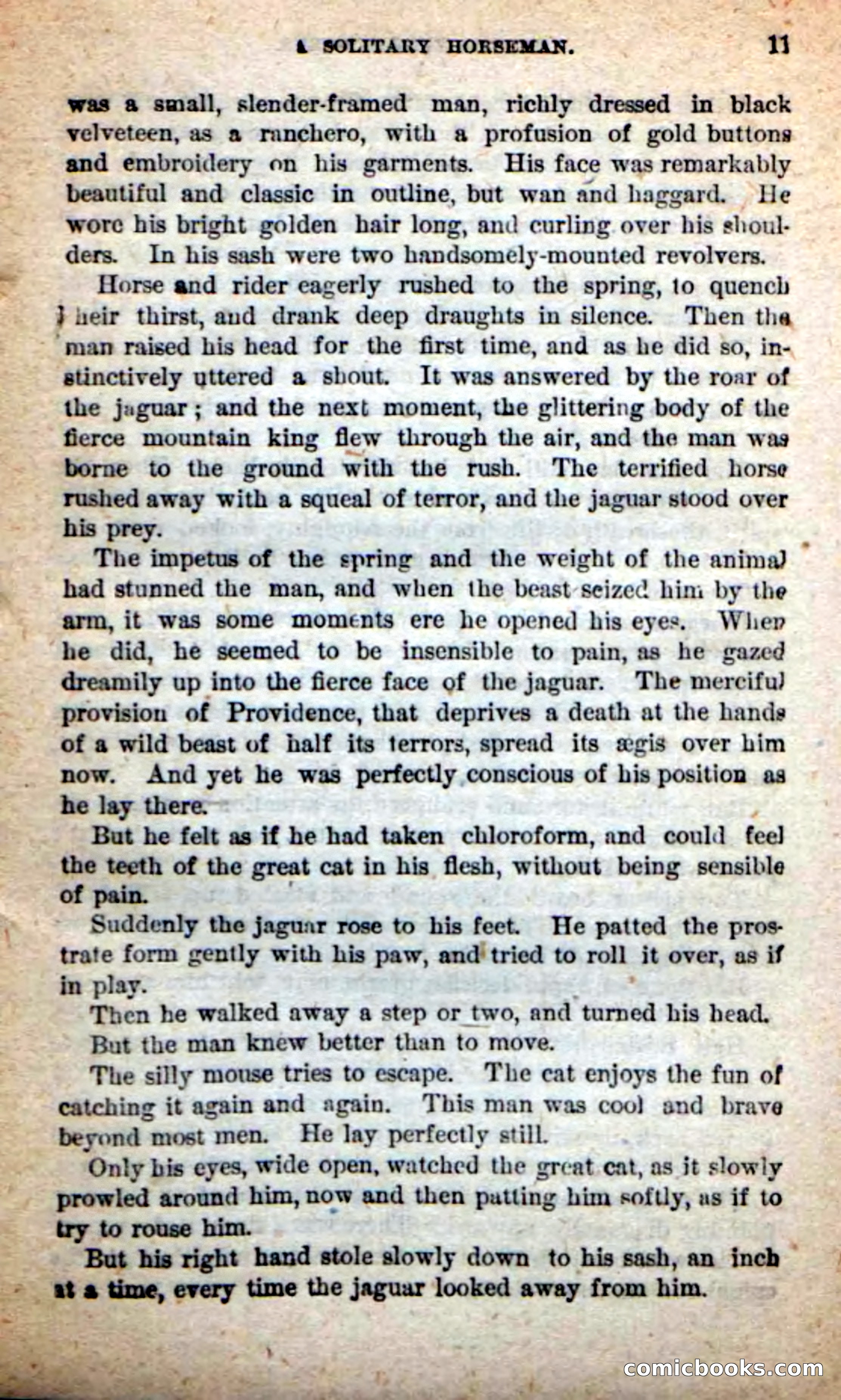 Beadle's Dime Novels: The Grizzly-Hunters — page 7 of 100