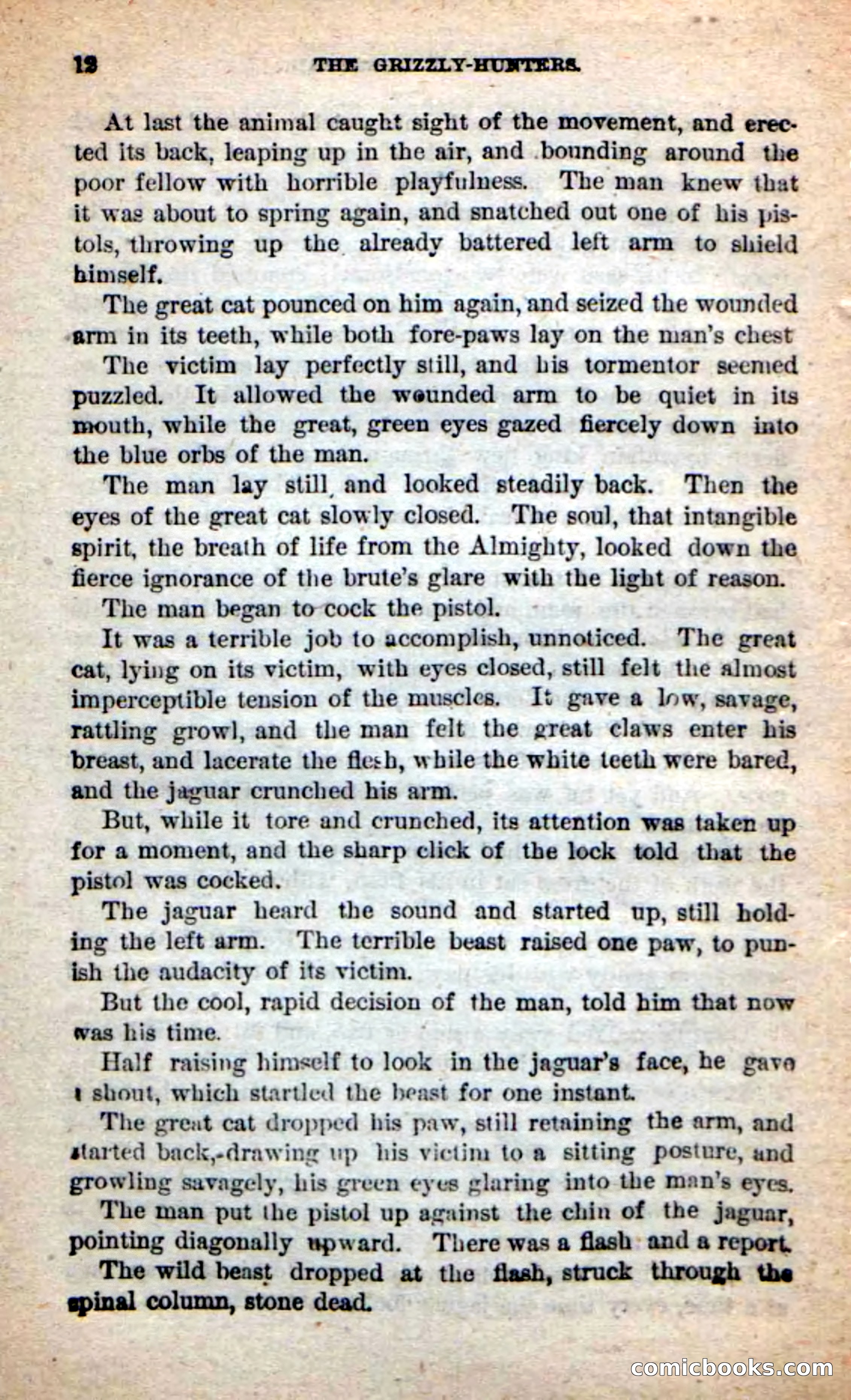 Beadle's Dime Novels: The Grizzly-Hunters — page 8 of 100