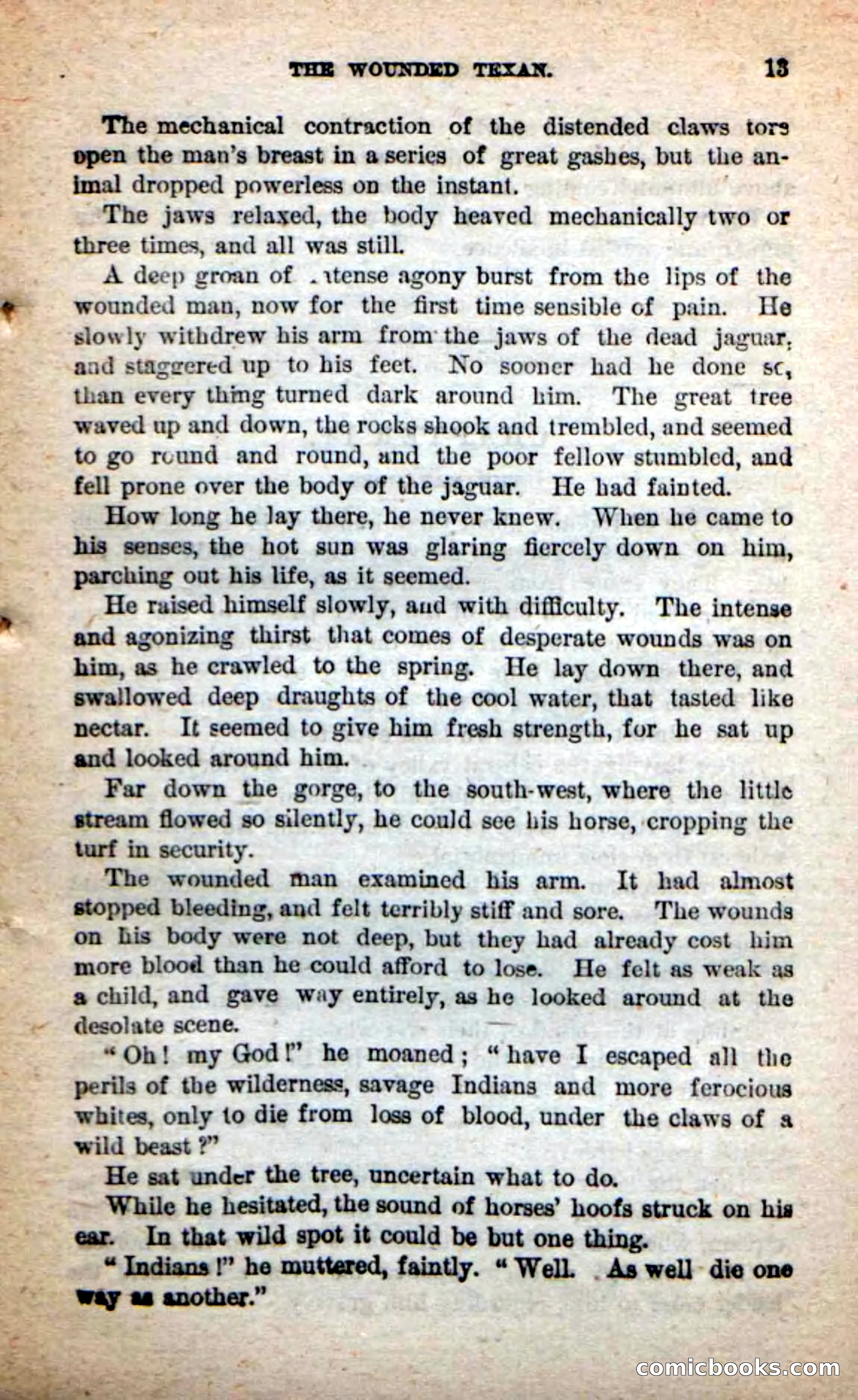 Beadle's Dime Novels: The Grizzly-Hunters — page 9 of 100